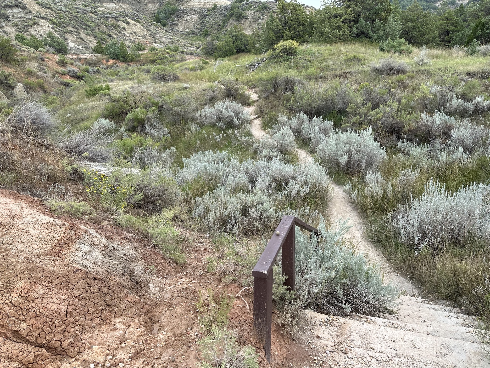 Hike