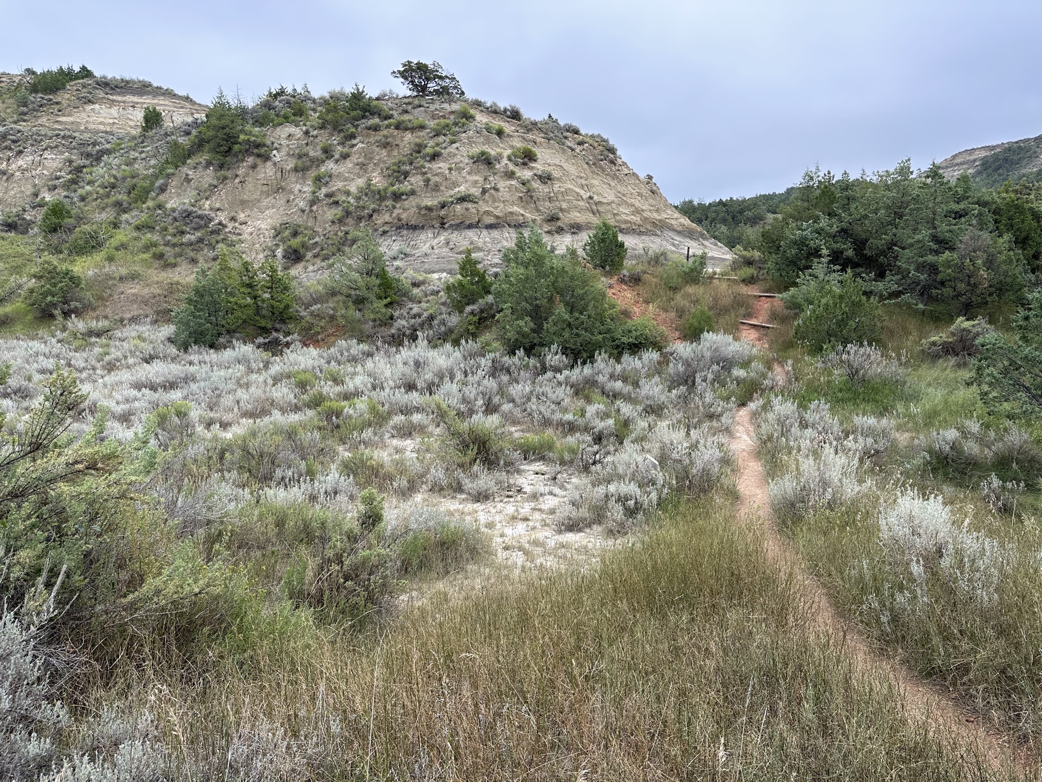 Hike