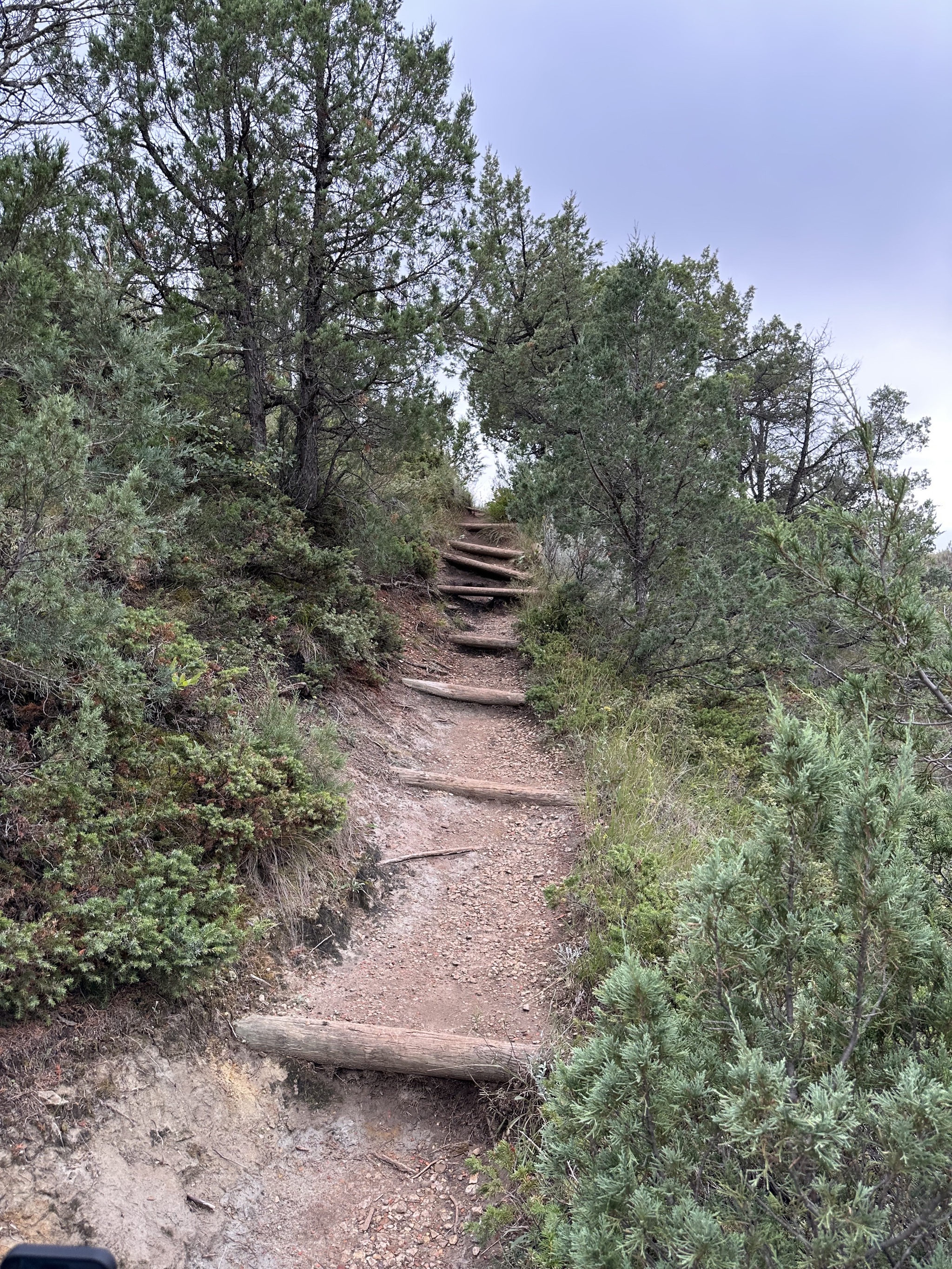 Hike