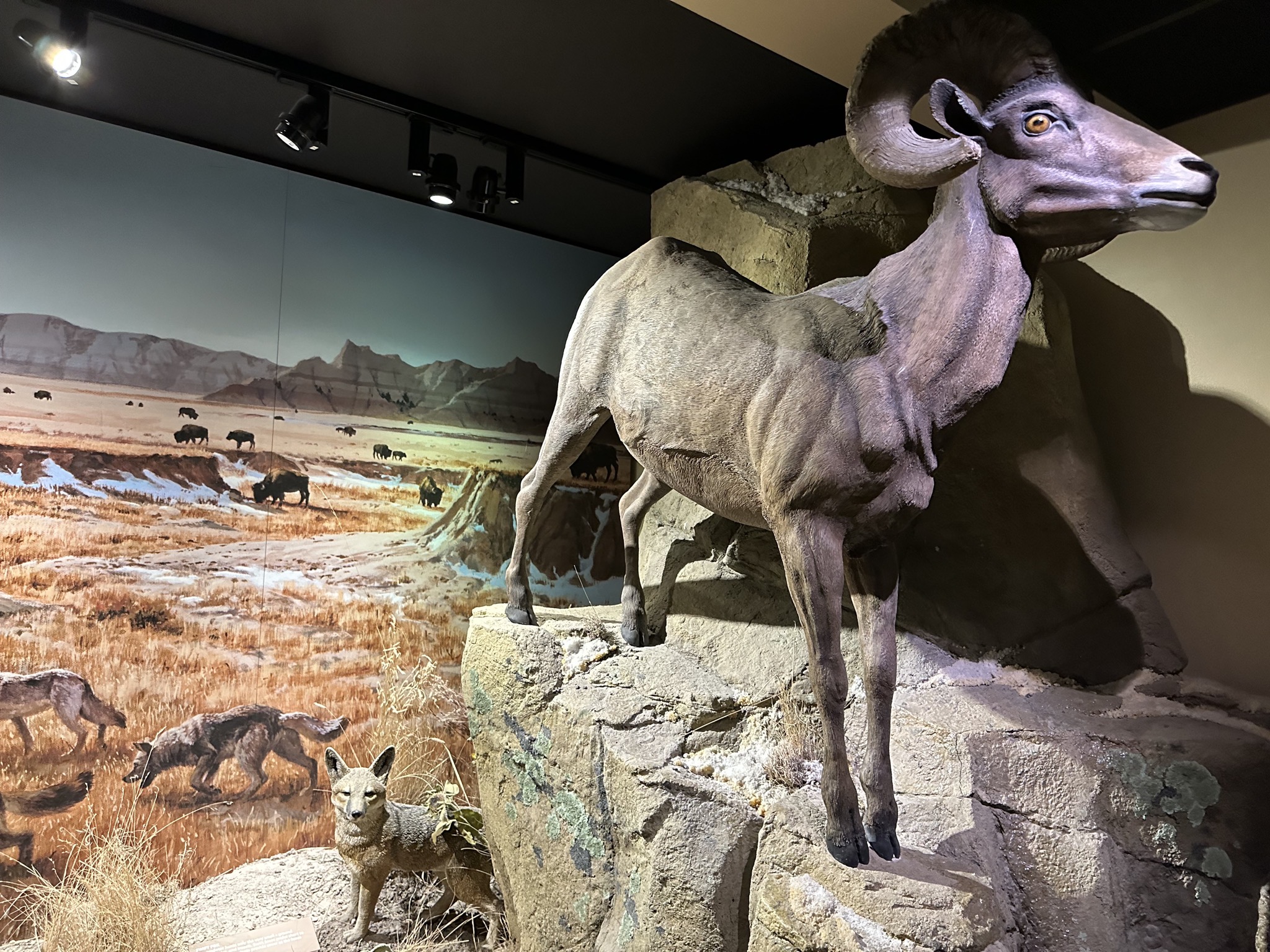 Exhibits in visitor center