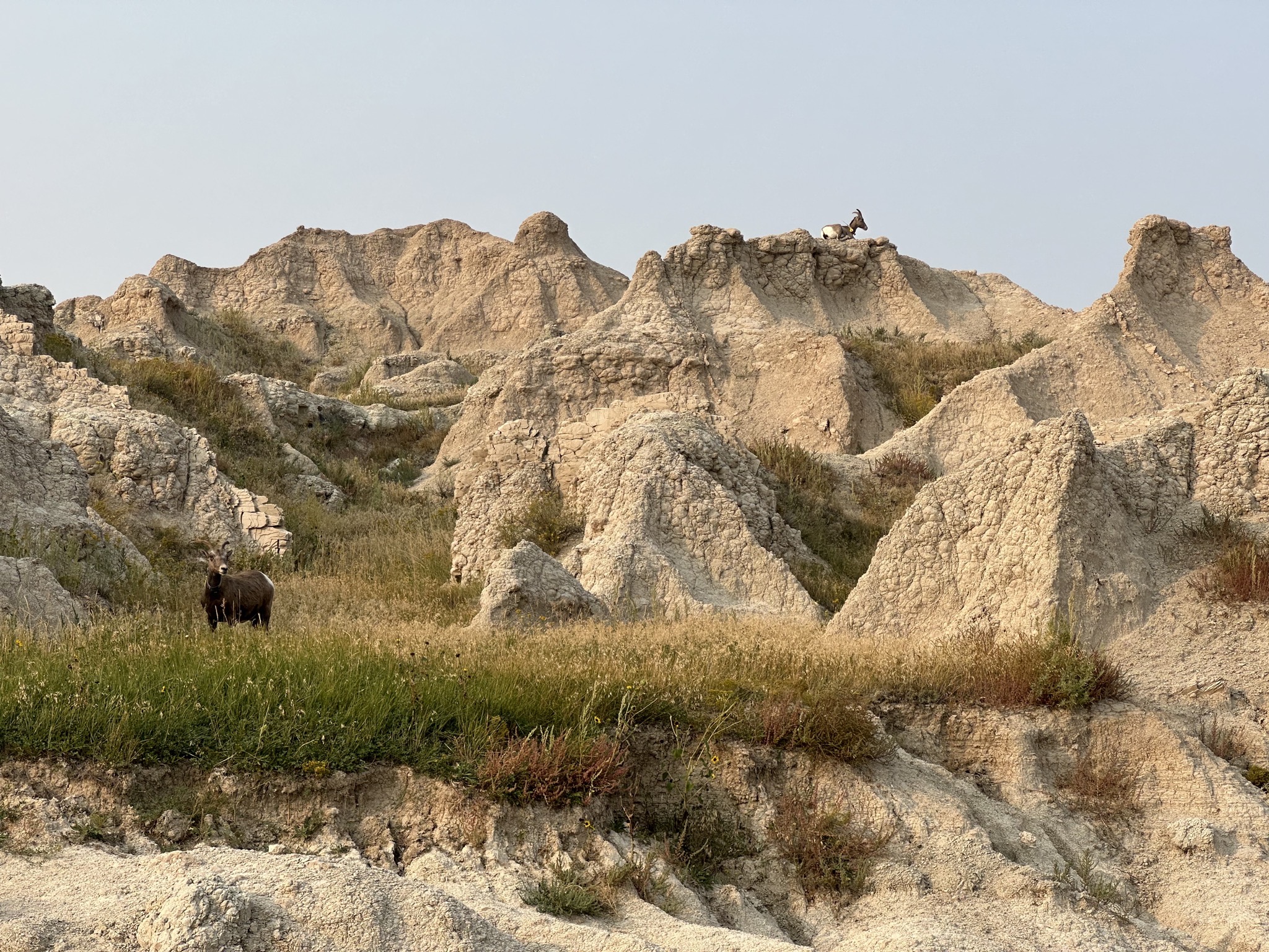 Badlands