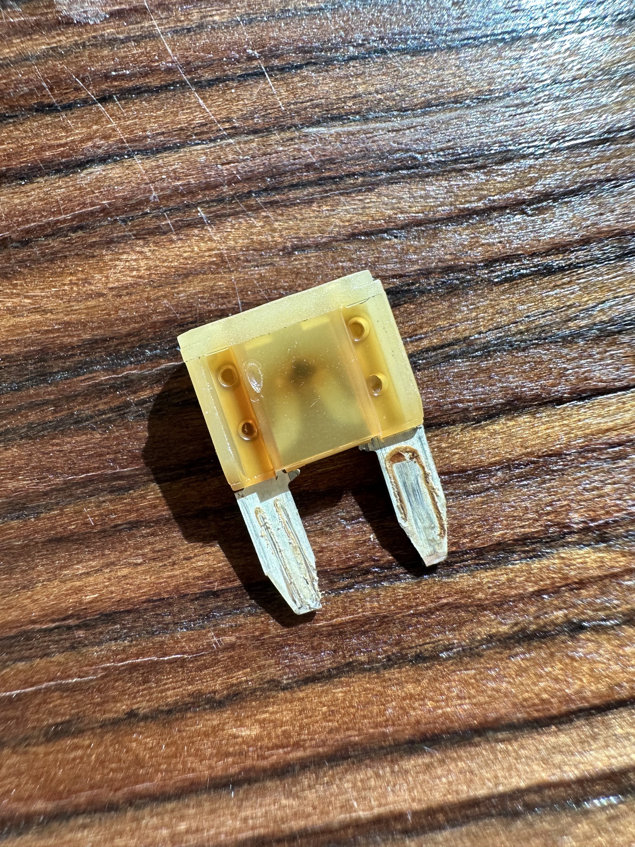 Fuse