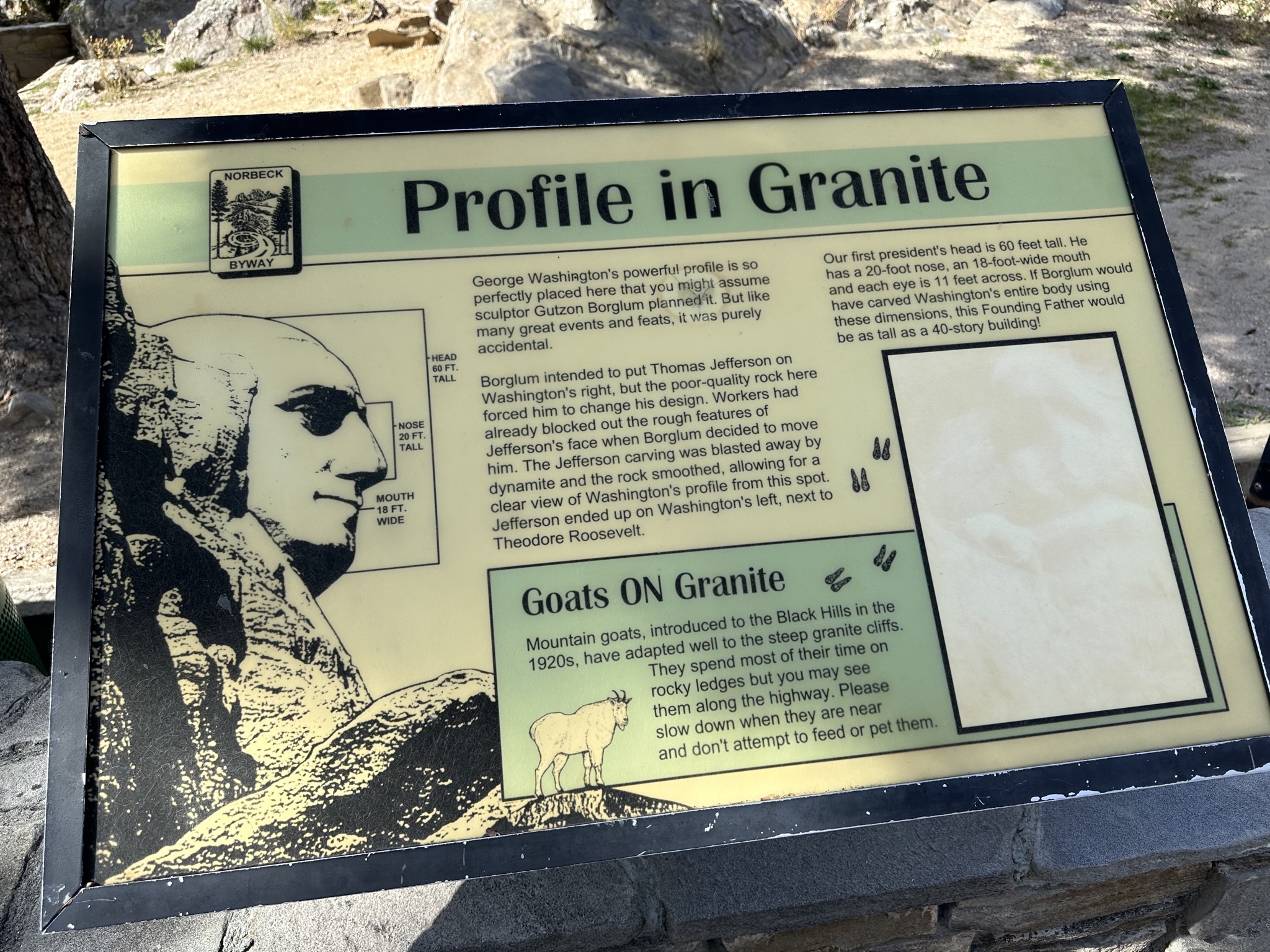 Profile View