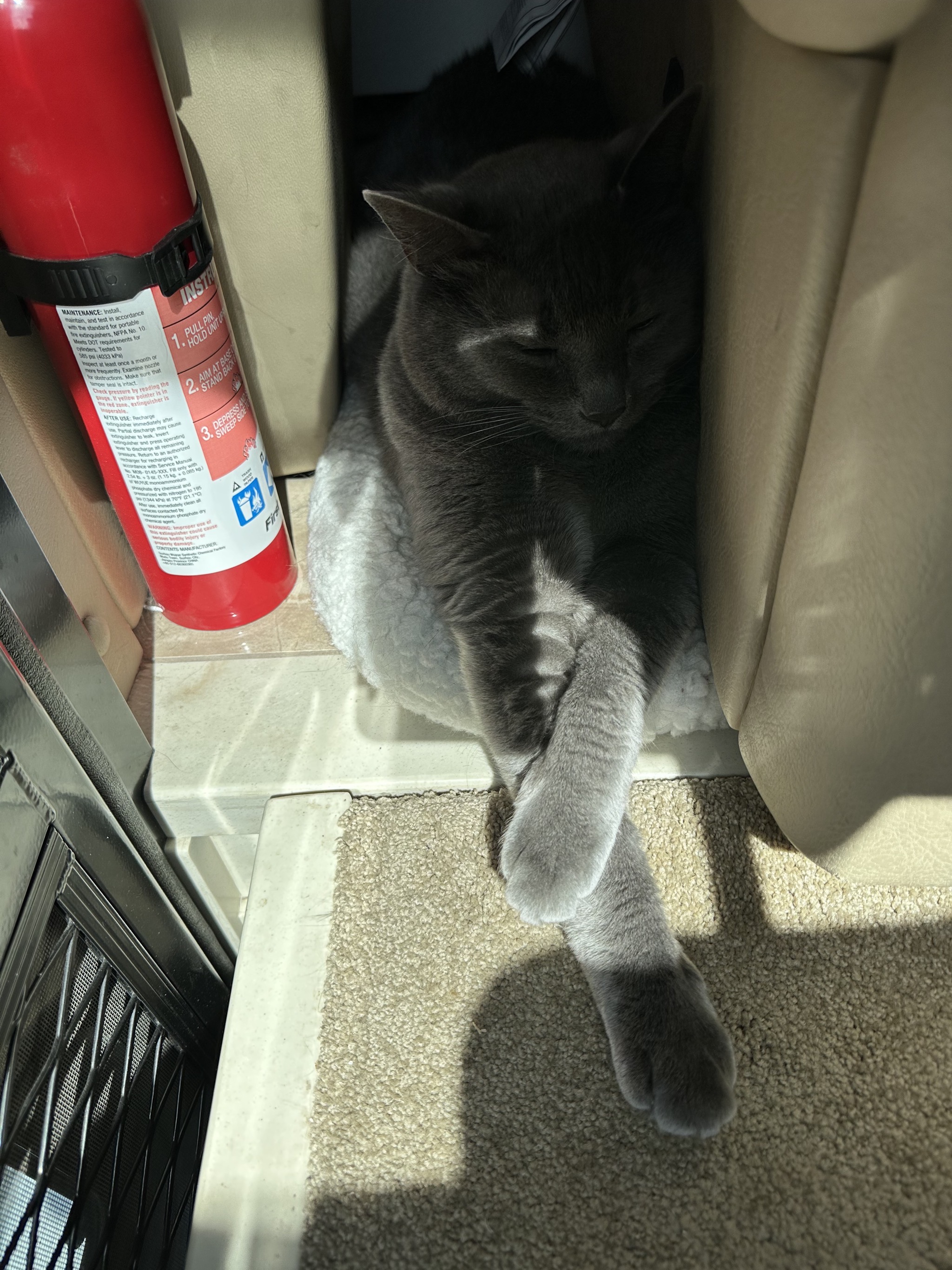 Paladin in his safe spot