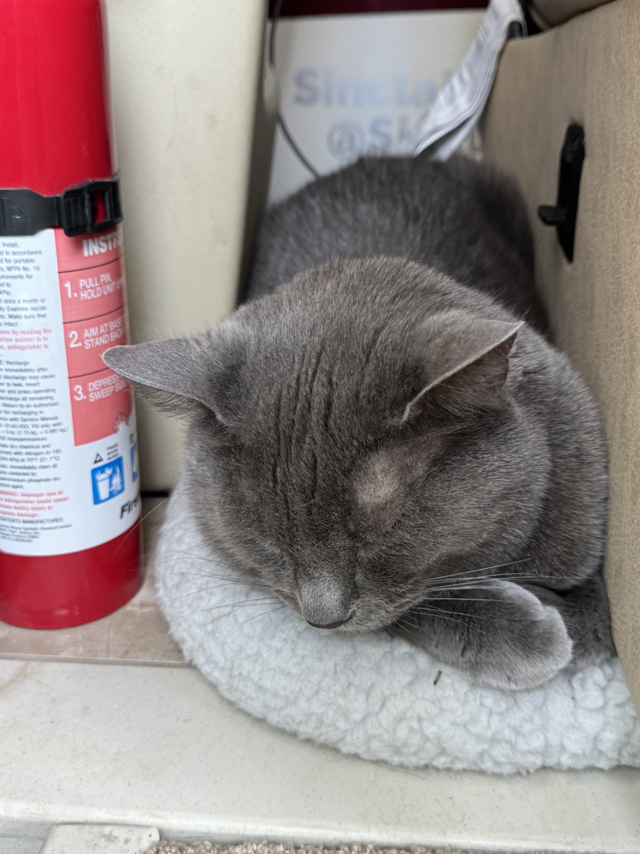 Paladin in his safe spot