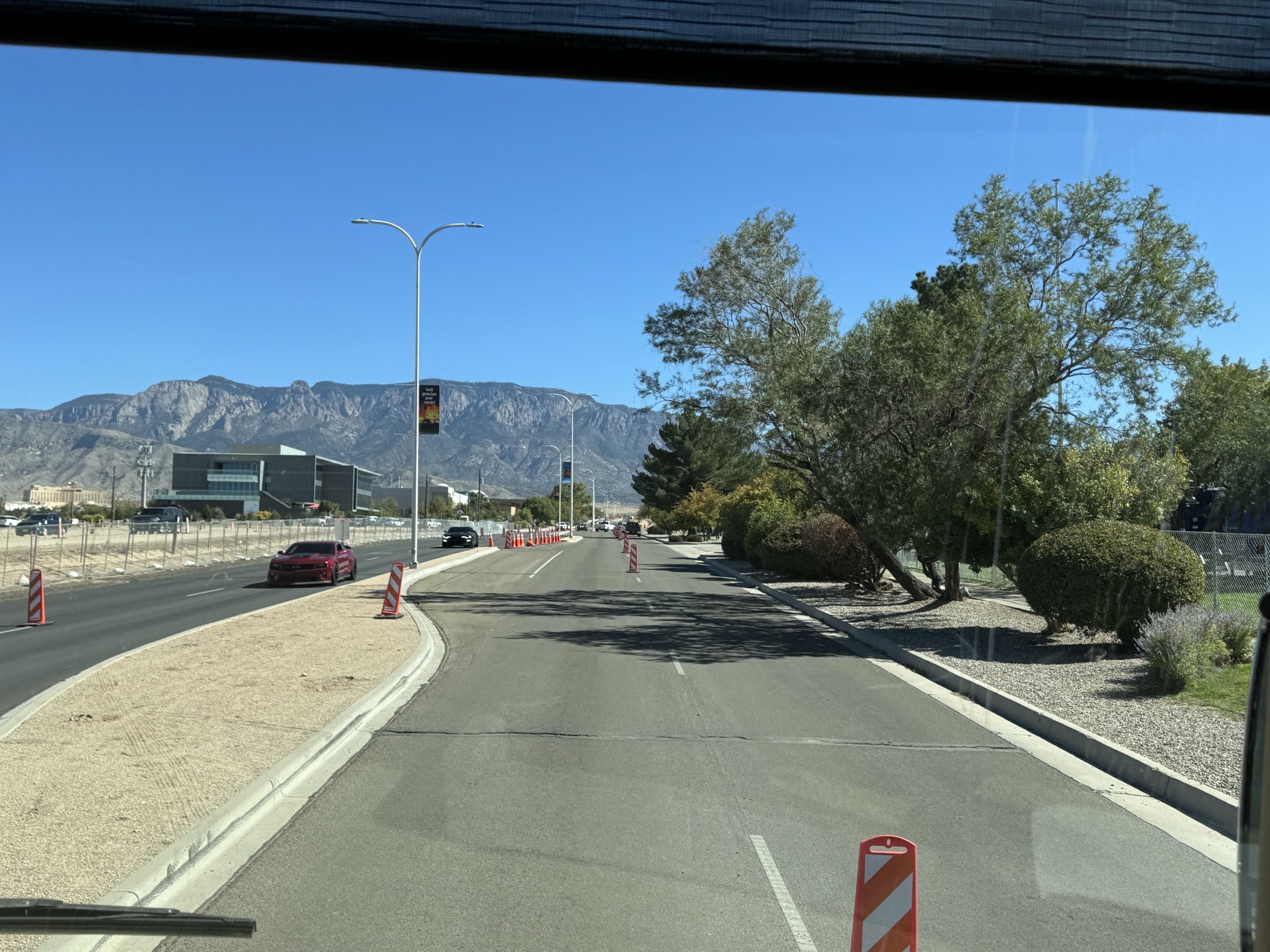 Aggressive lane markers and trees