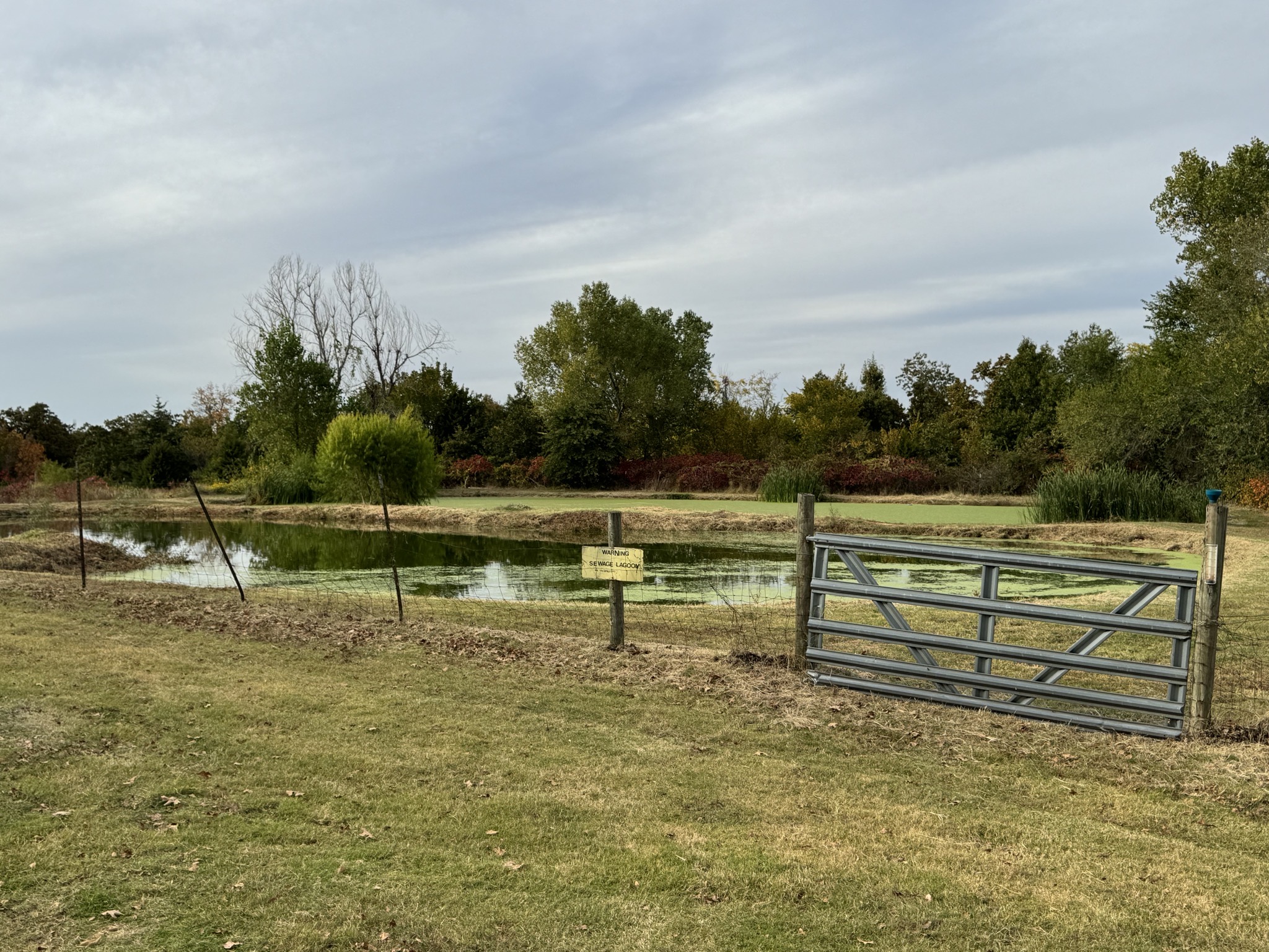 Sewage lagoon