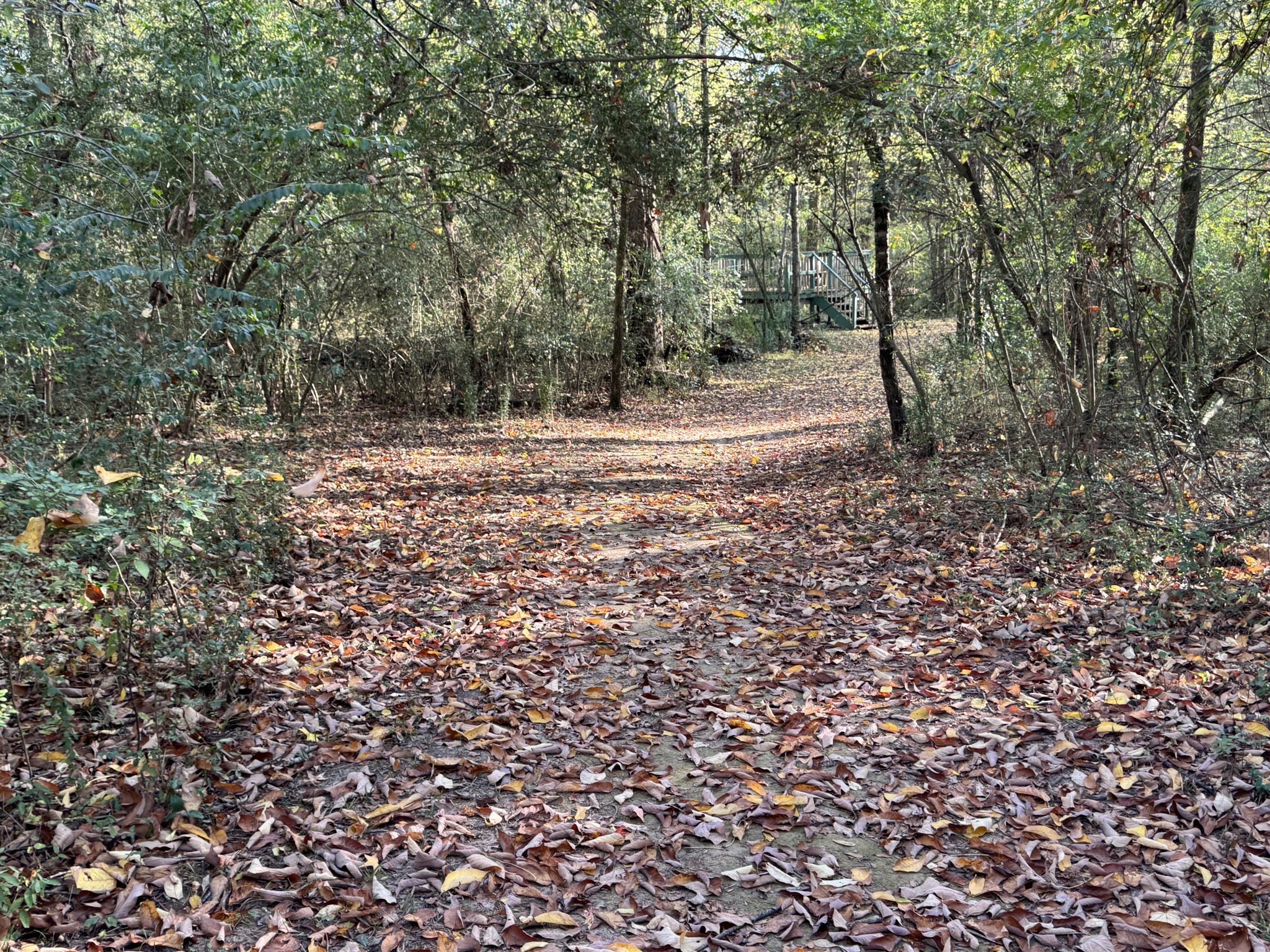 Meadowbrook trail