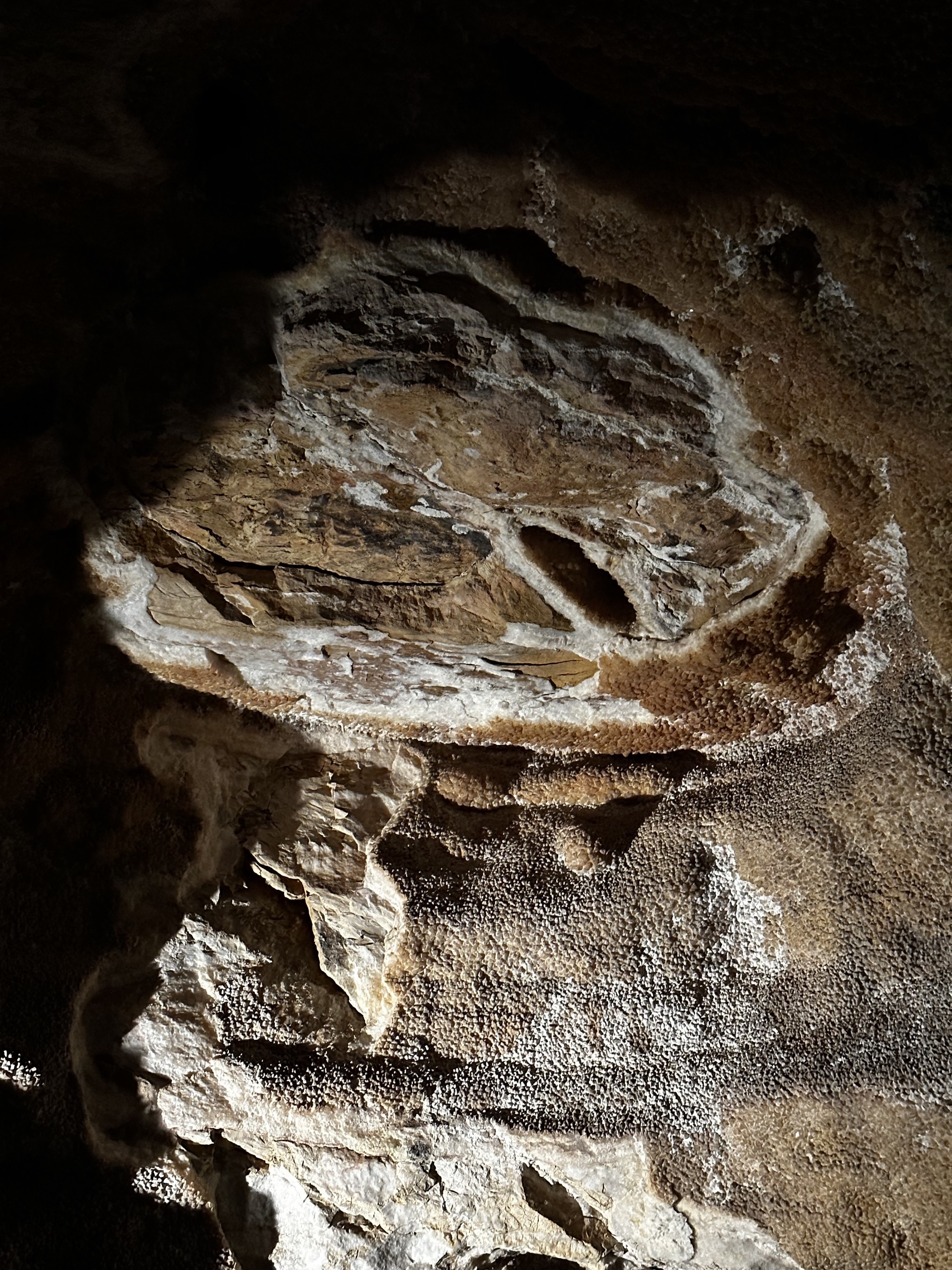 Cave formations