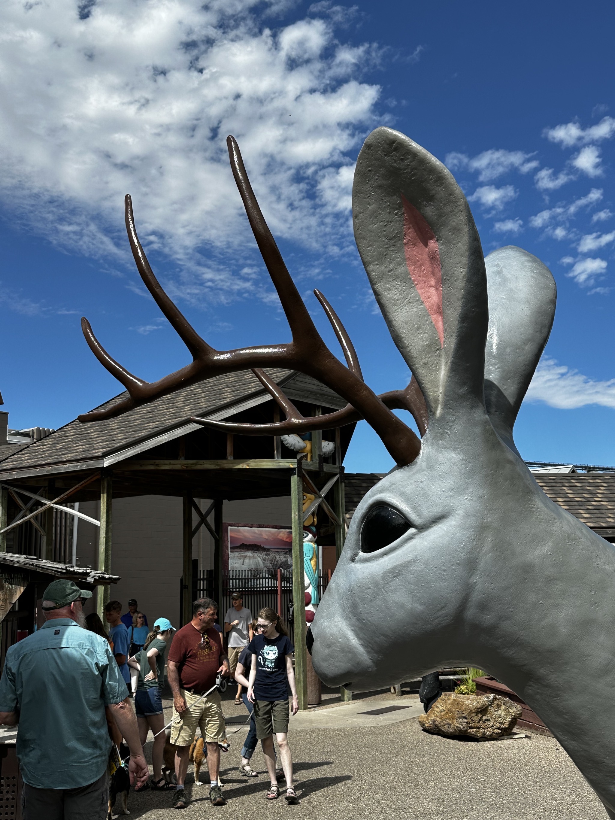 Wall Drug