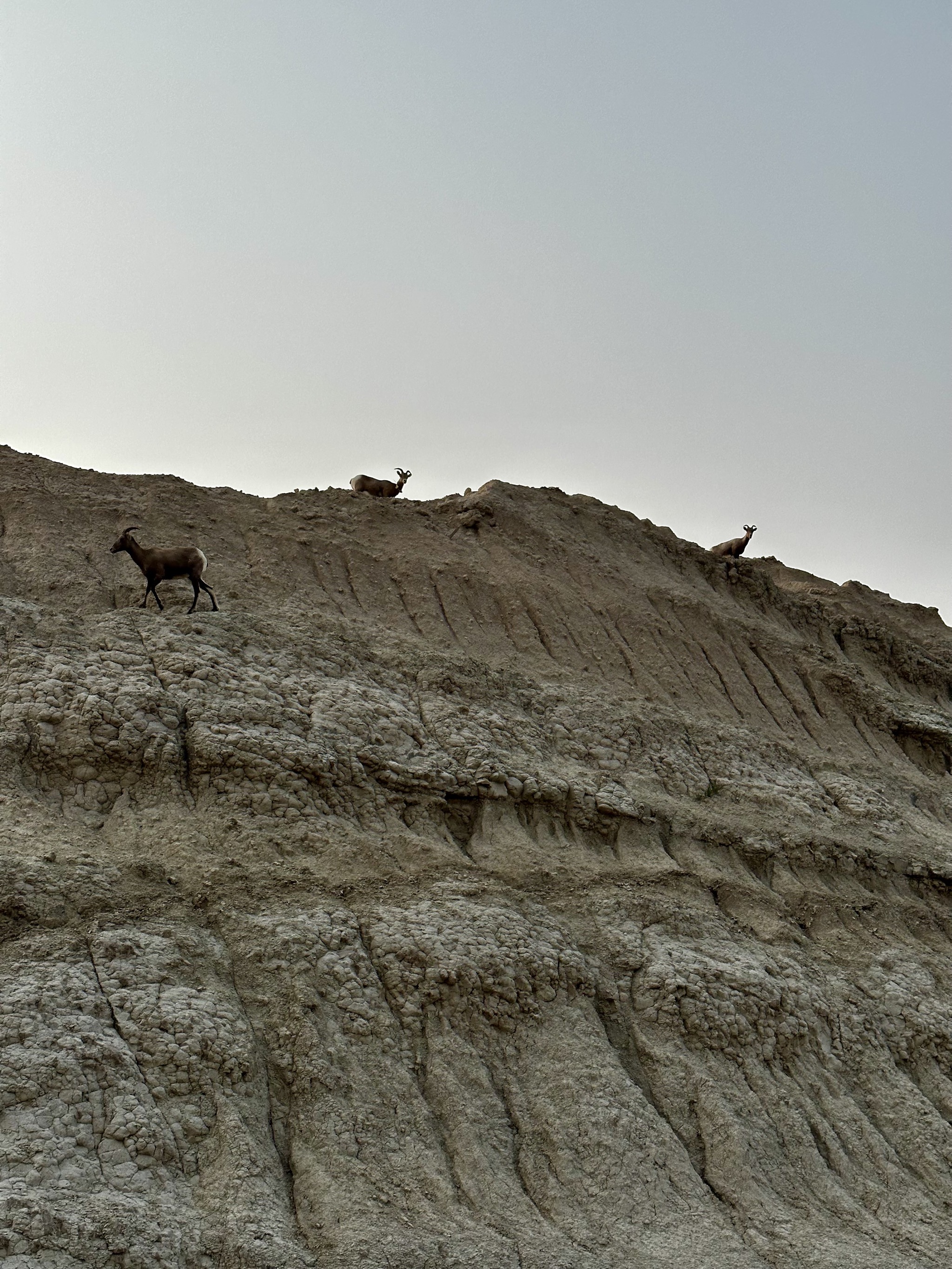 Badlands