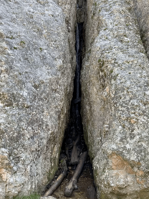 Sylvan Lake