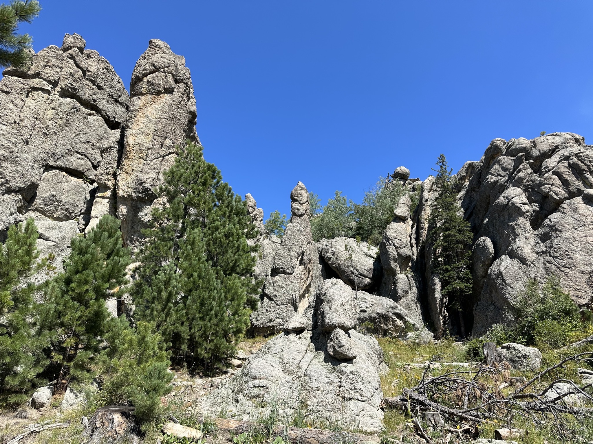Sylvan Lake