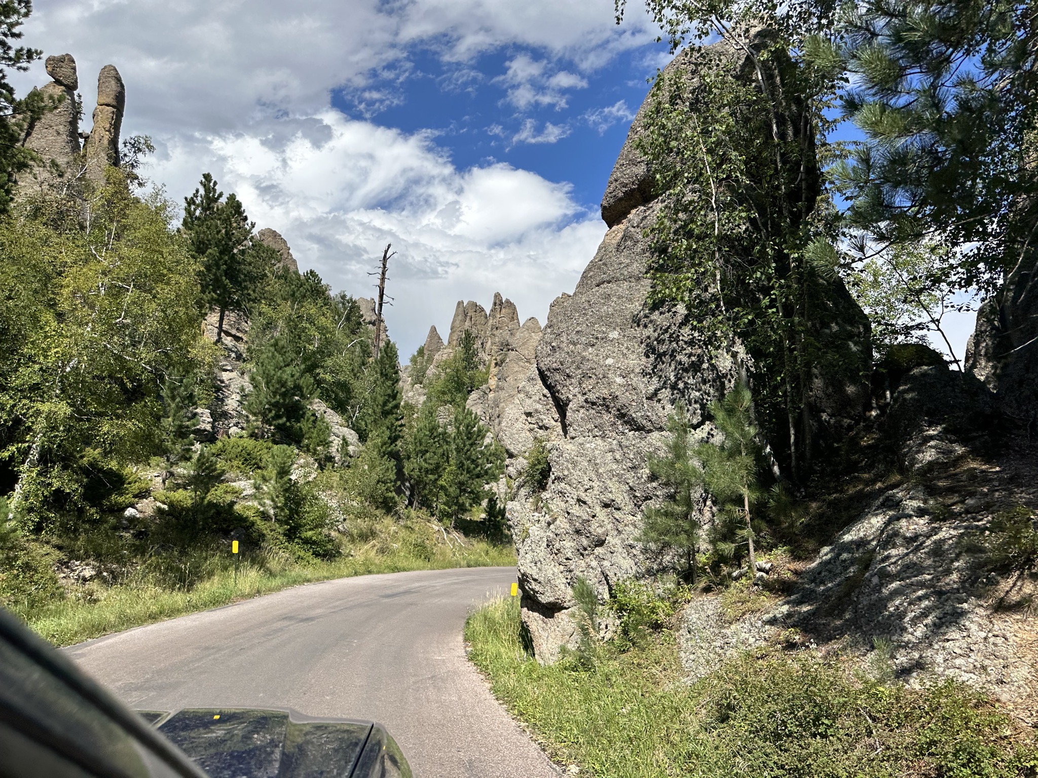 Custer State Park
