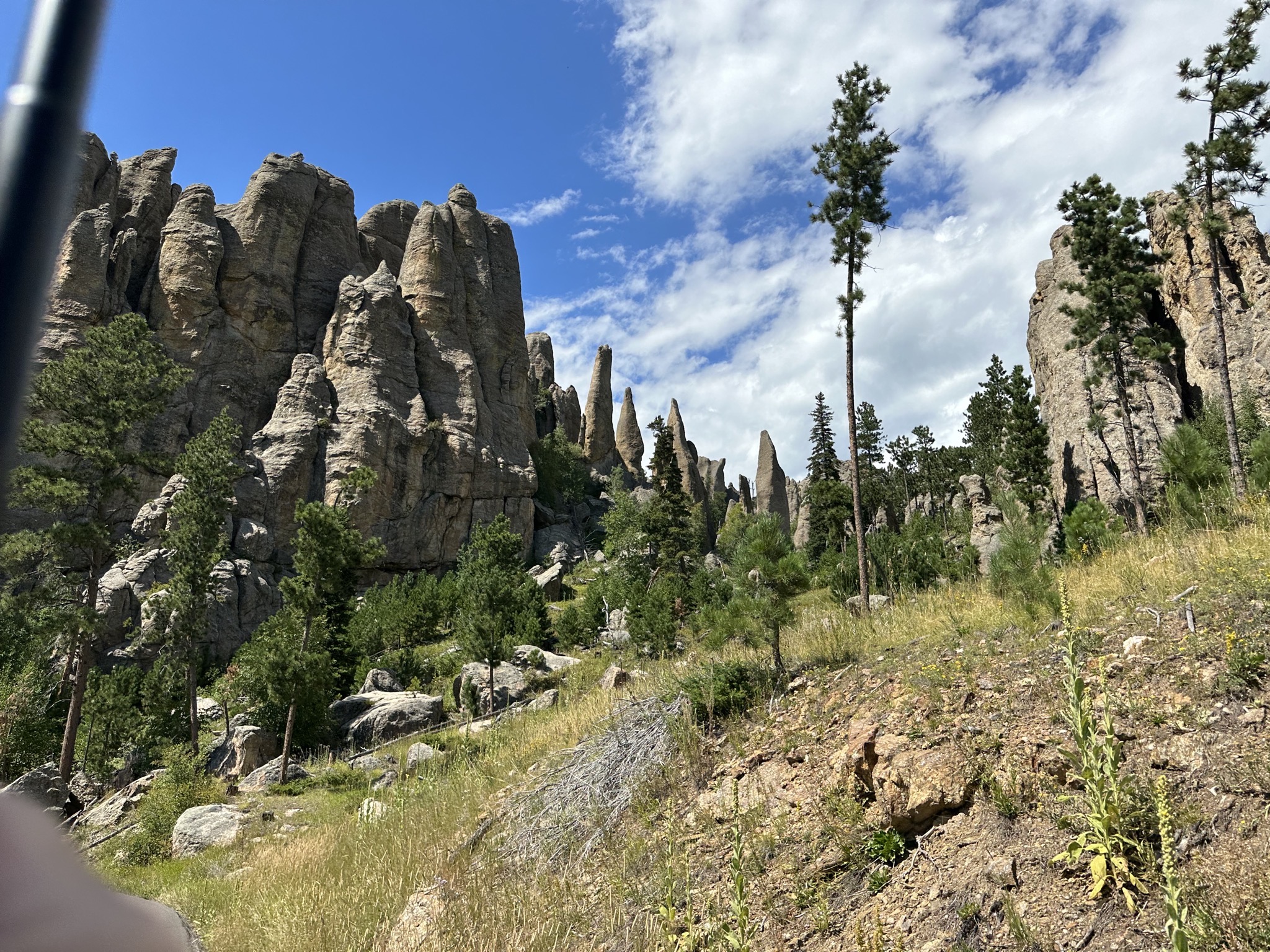 Custer State Park