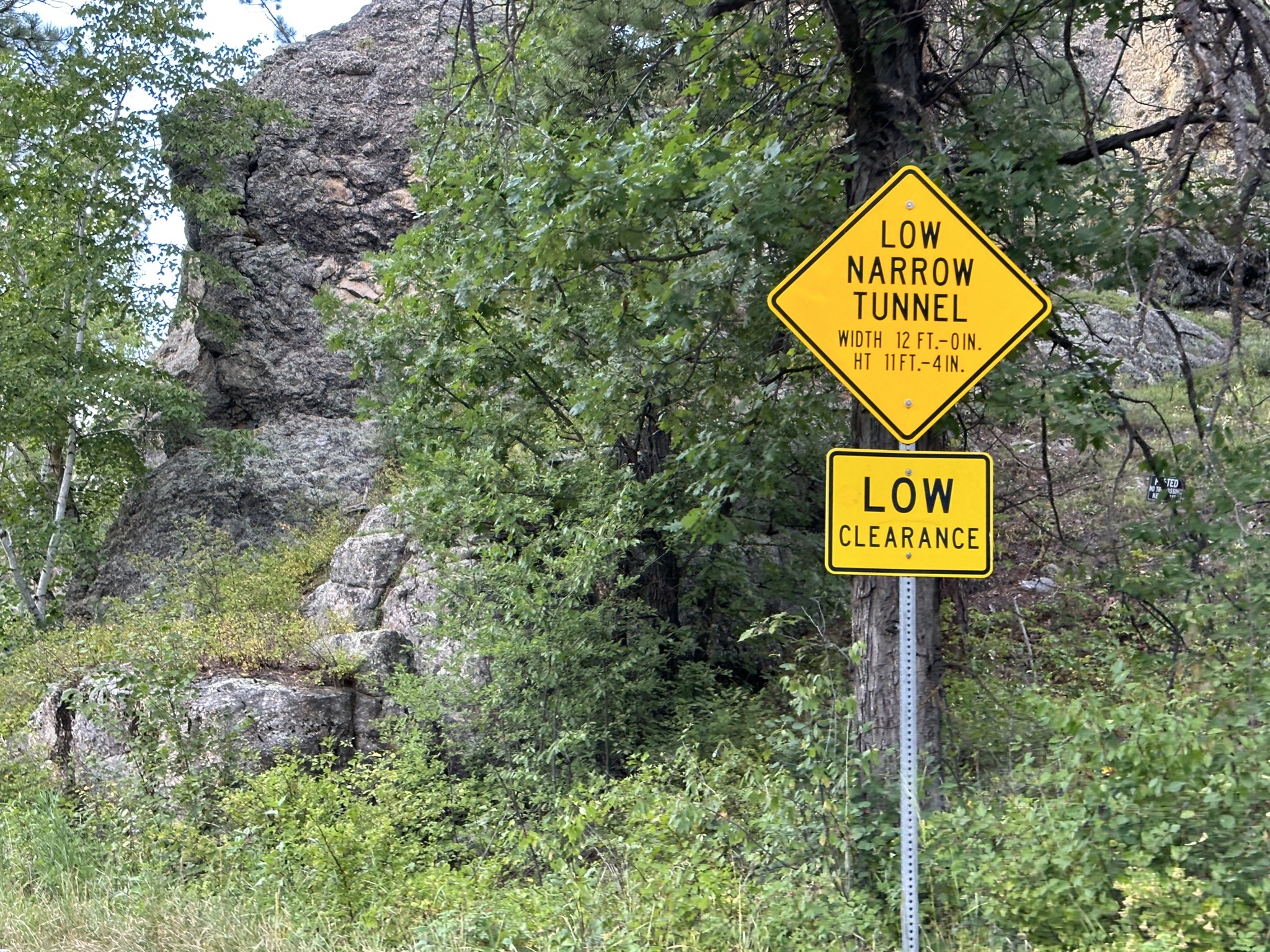 Low narrow tunnel