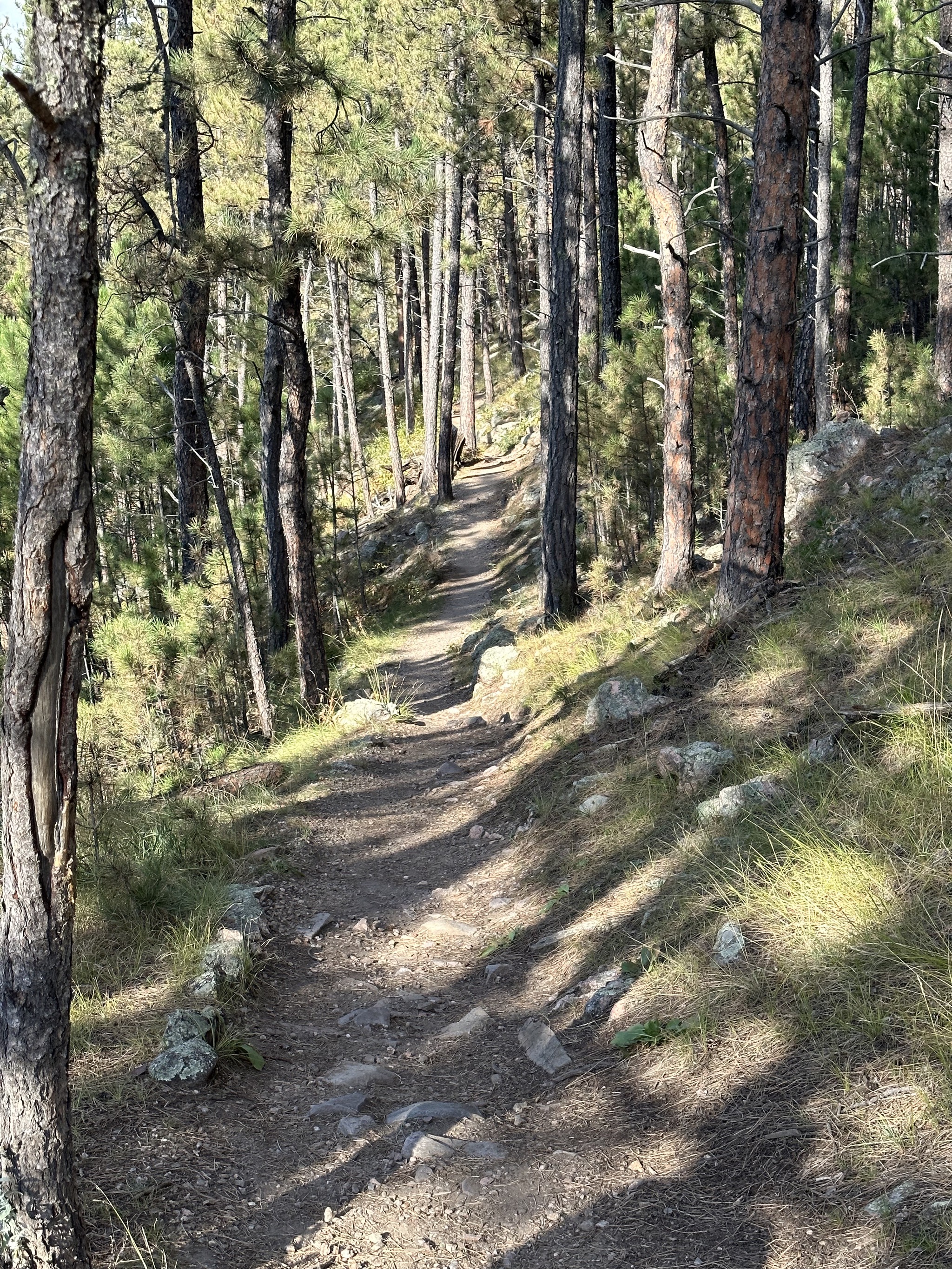 Rankin Ridge Trail