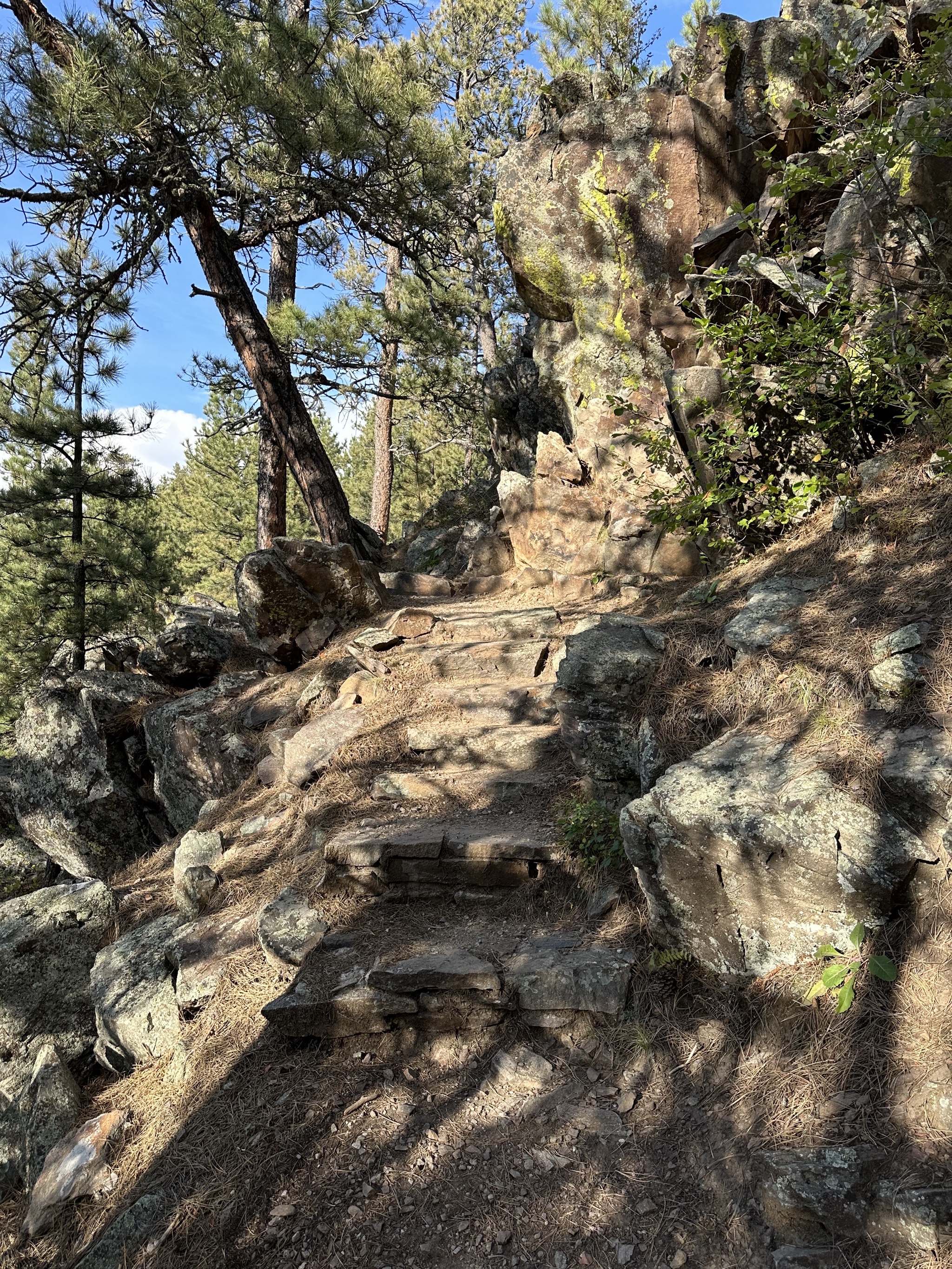 Rankin Ridge Trail