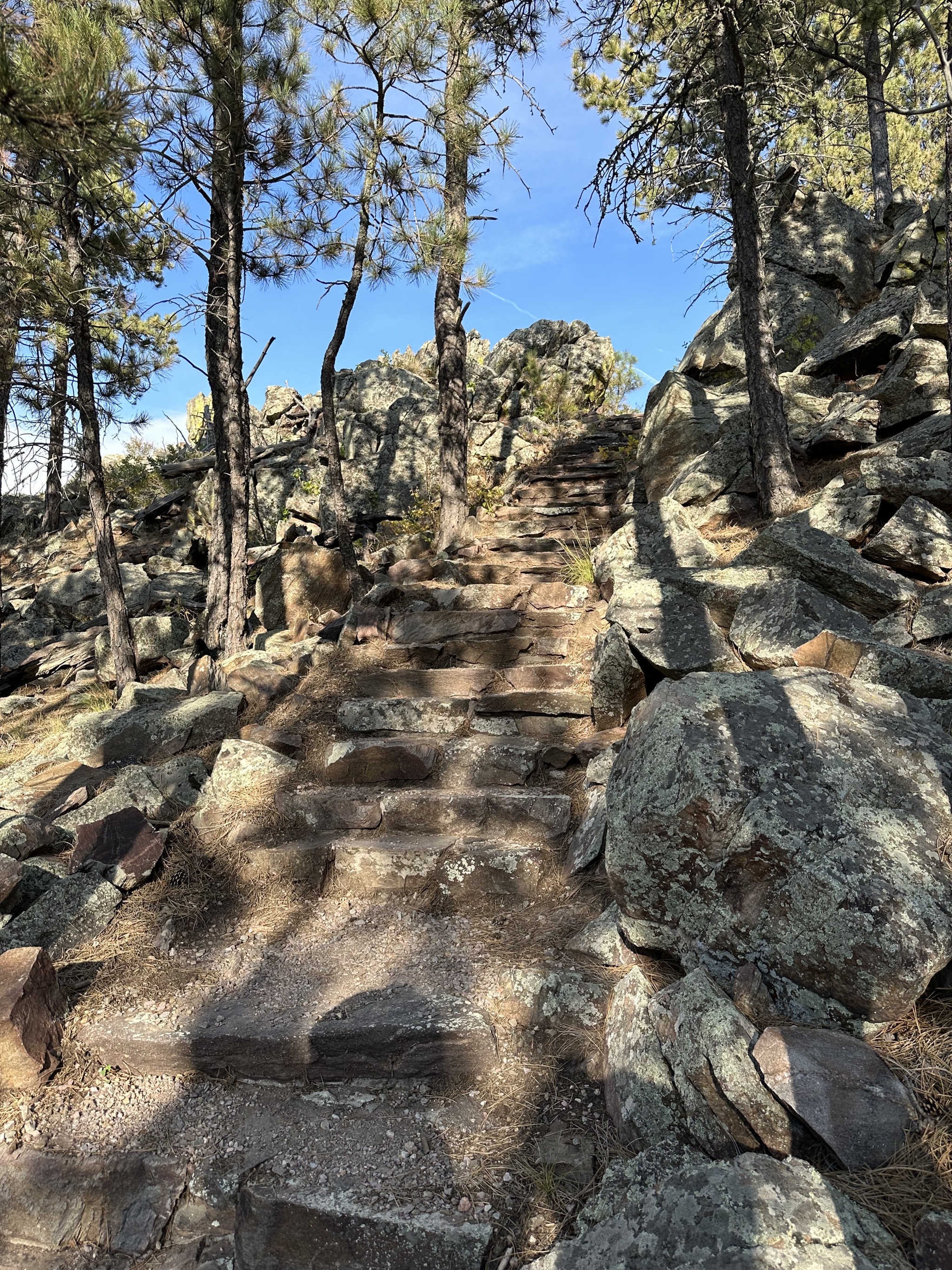Rankin Ridge Trail