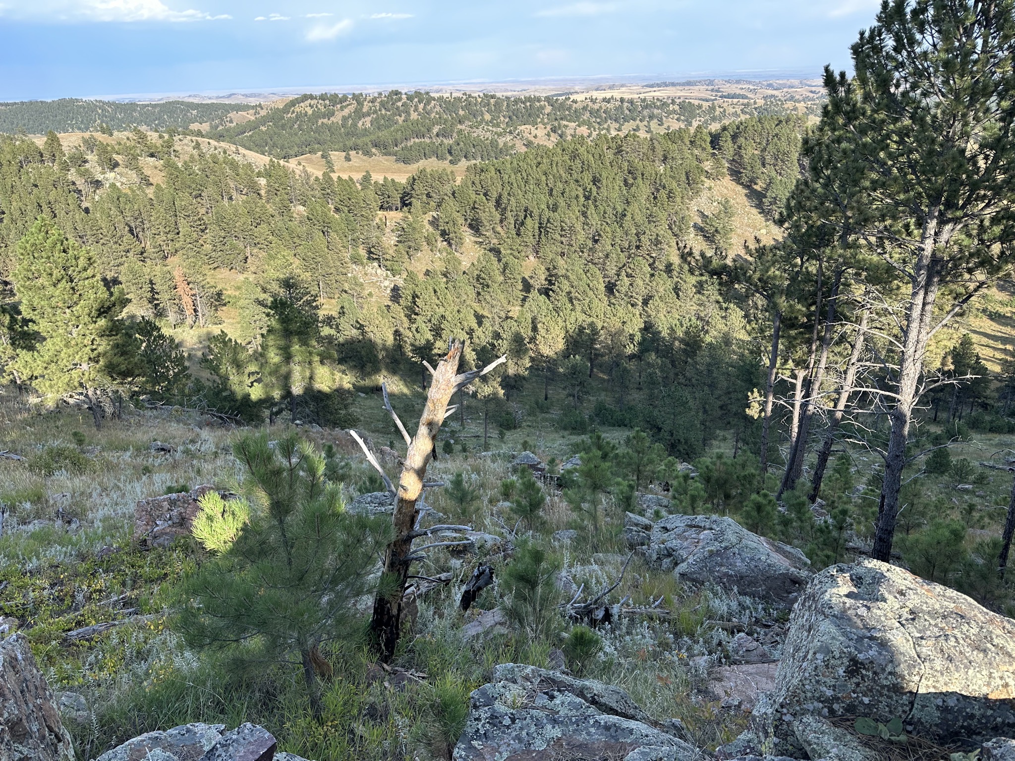 Rankin Ridge Trail
