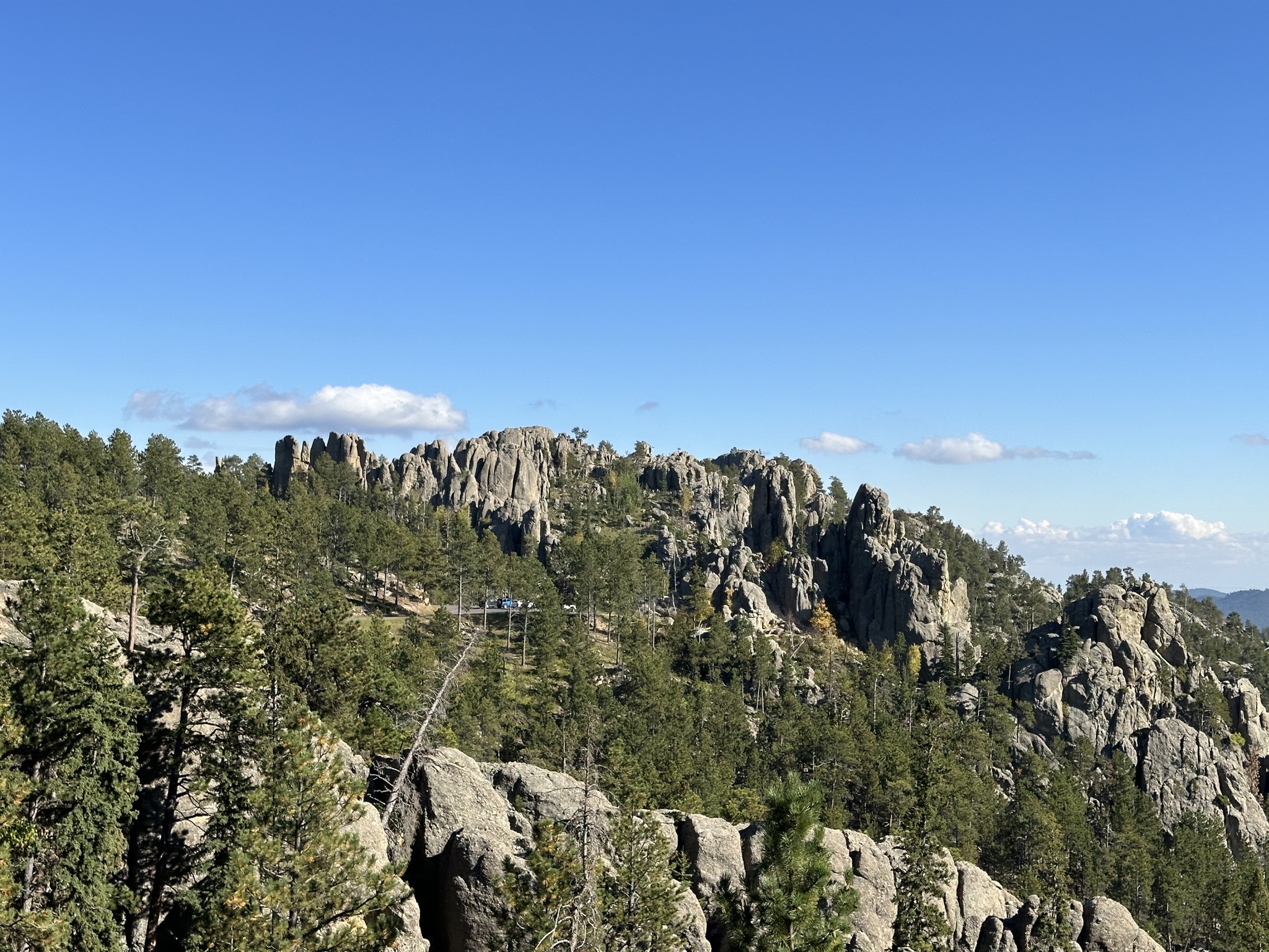 Custer State Park
