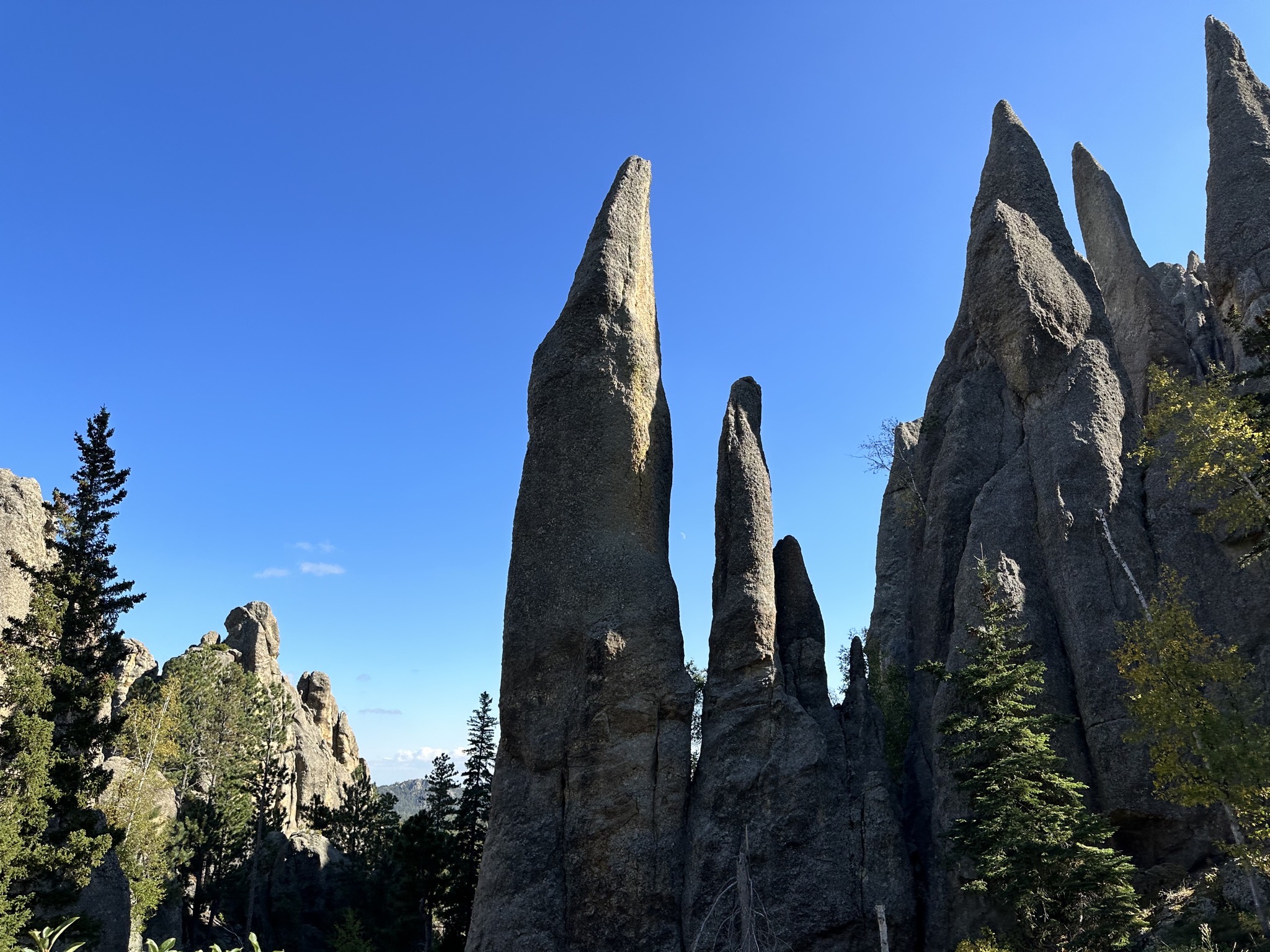 Custer State Park