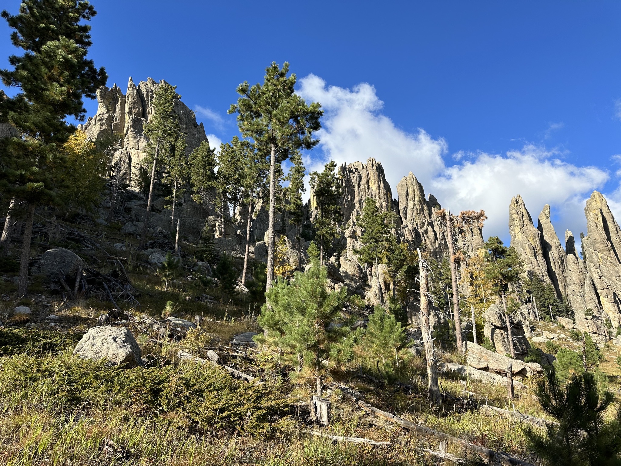 Cathedral Spires Trail hike
