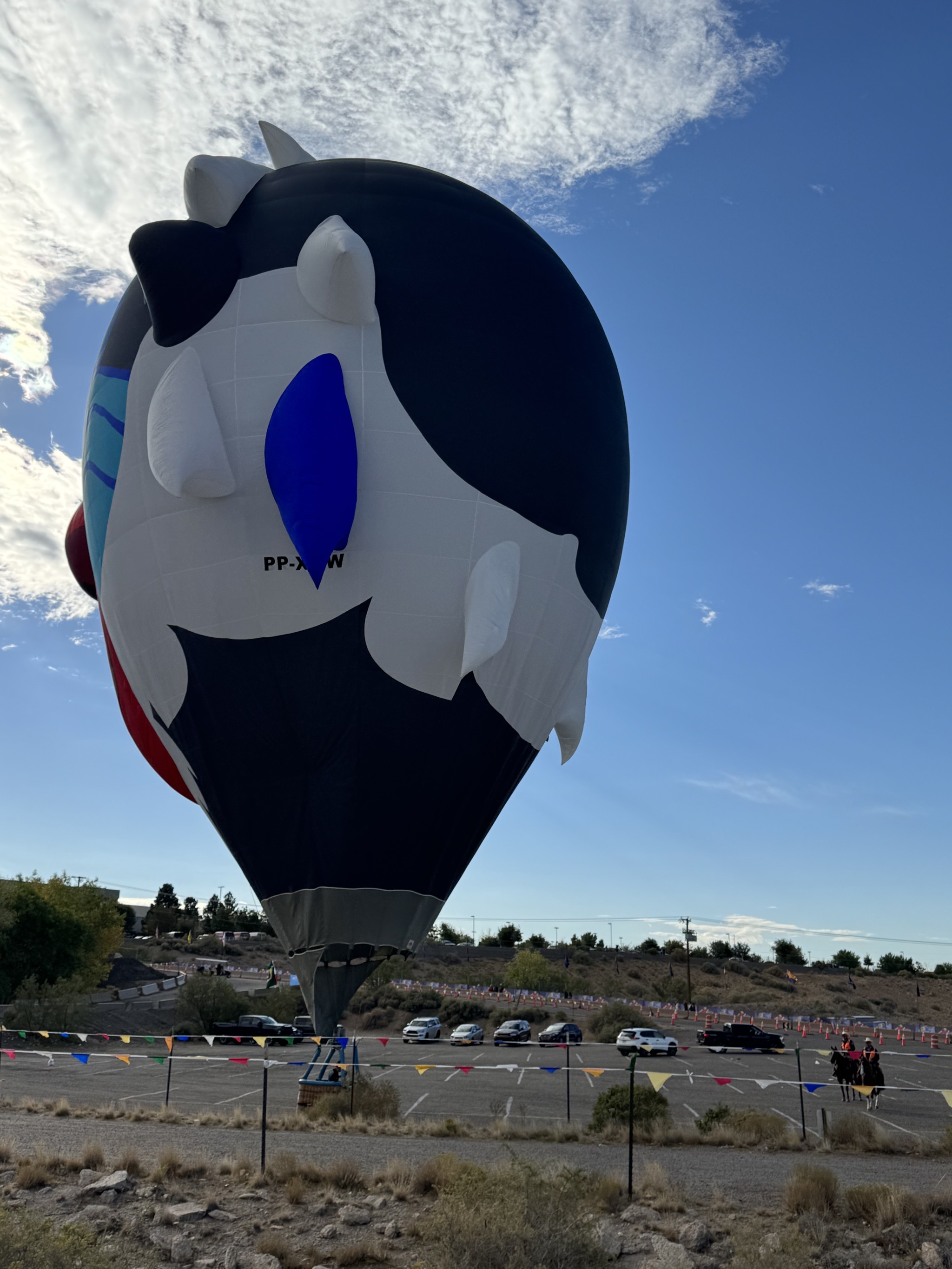 Balloons over RV lot