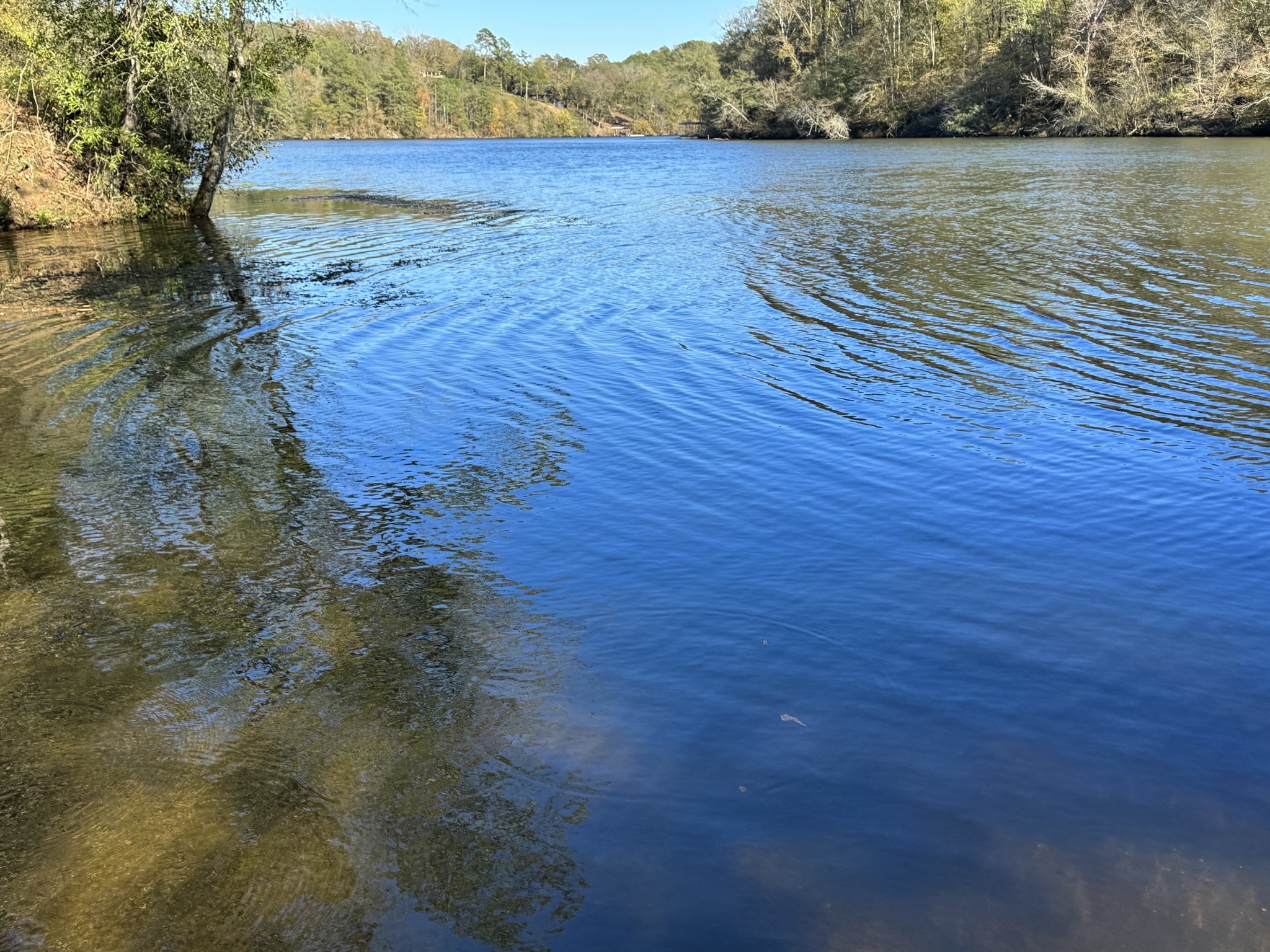 Ouachita River / Lake Catherine