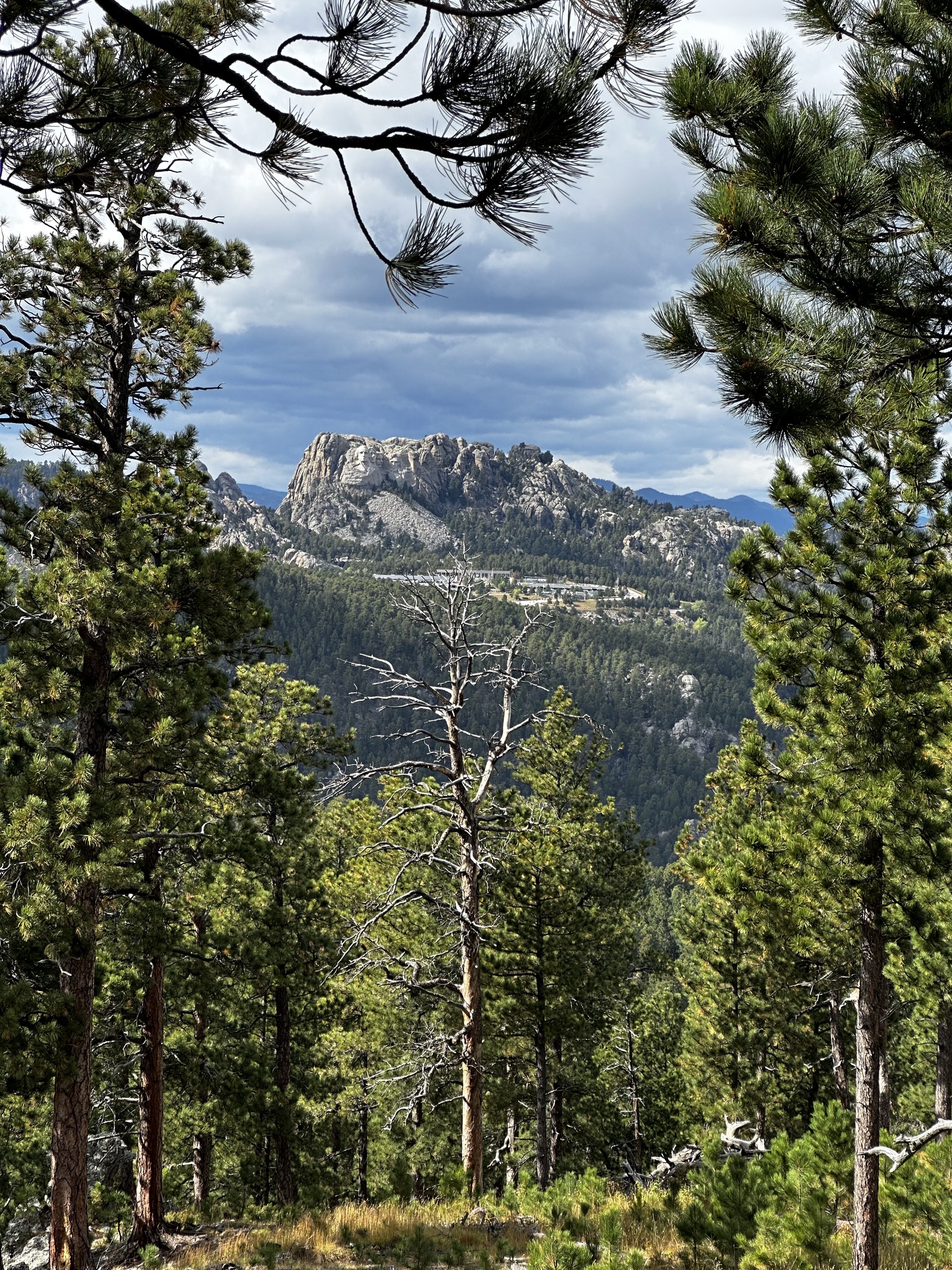 Mount Rushmore view