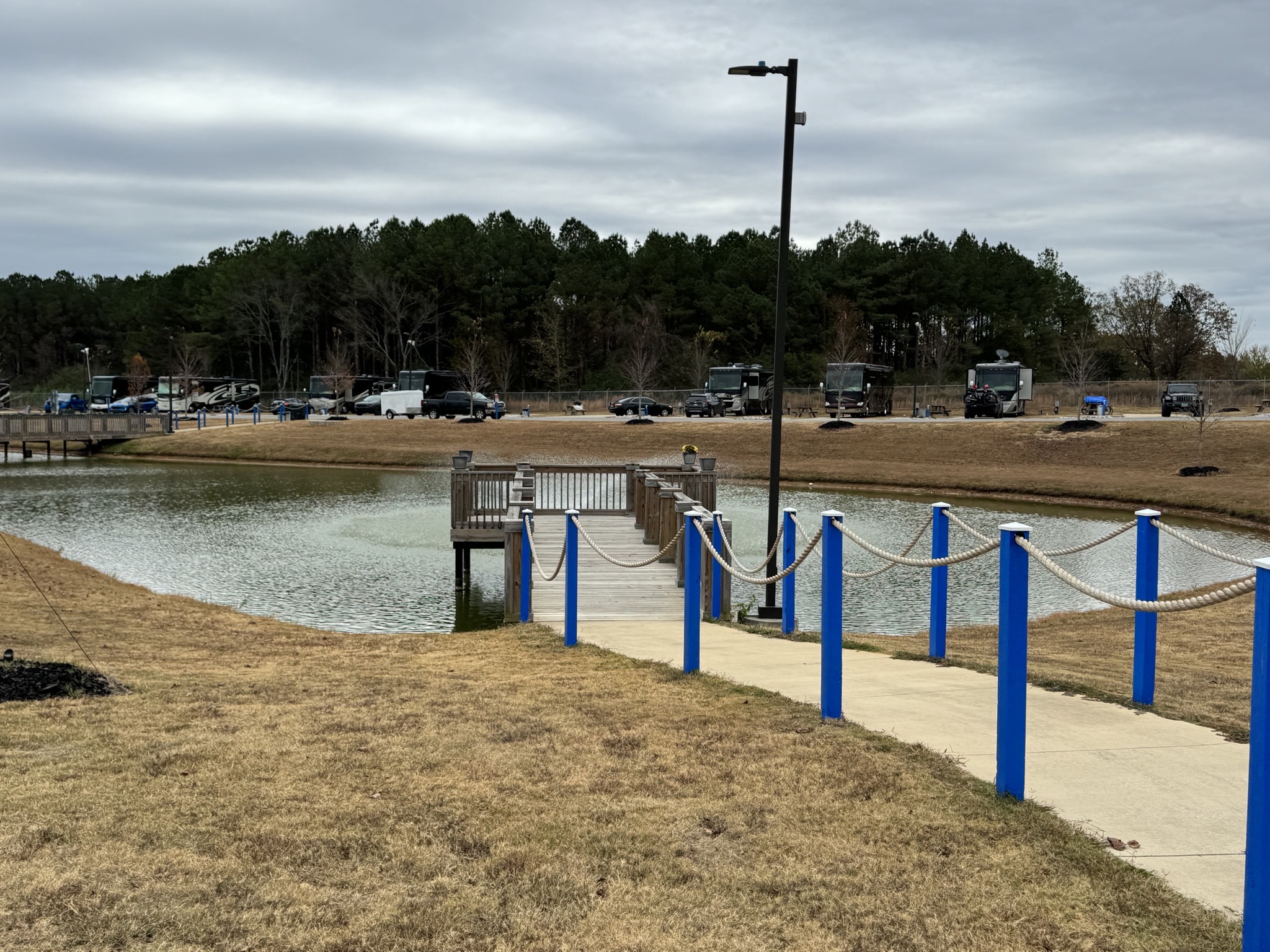 Pond