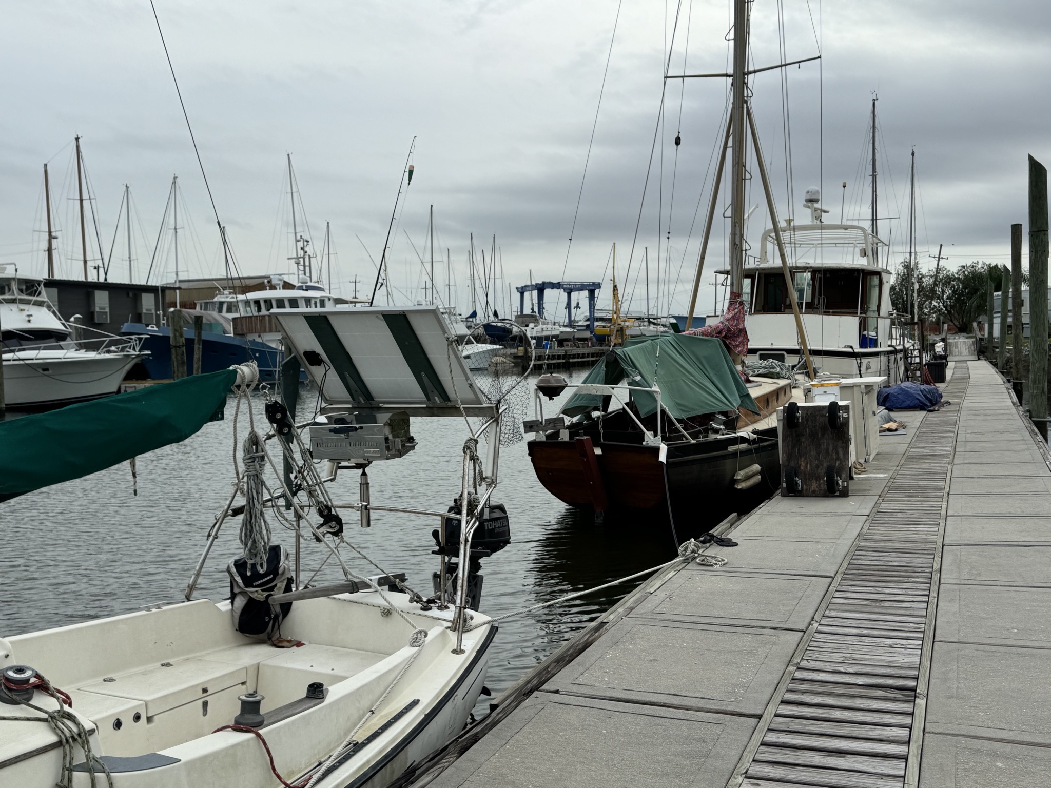 Marina