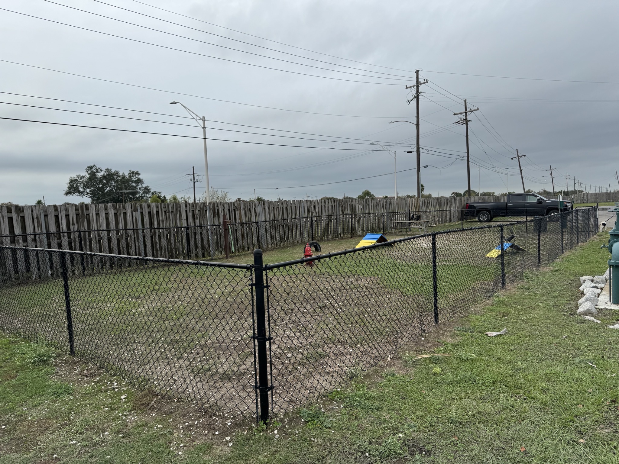 Dog park