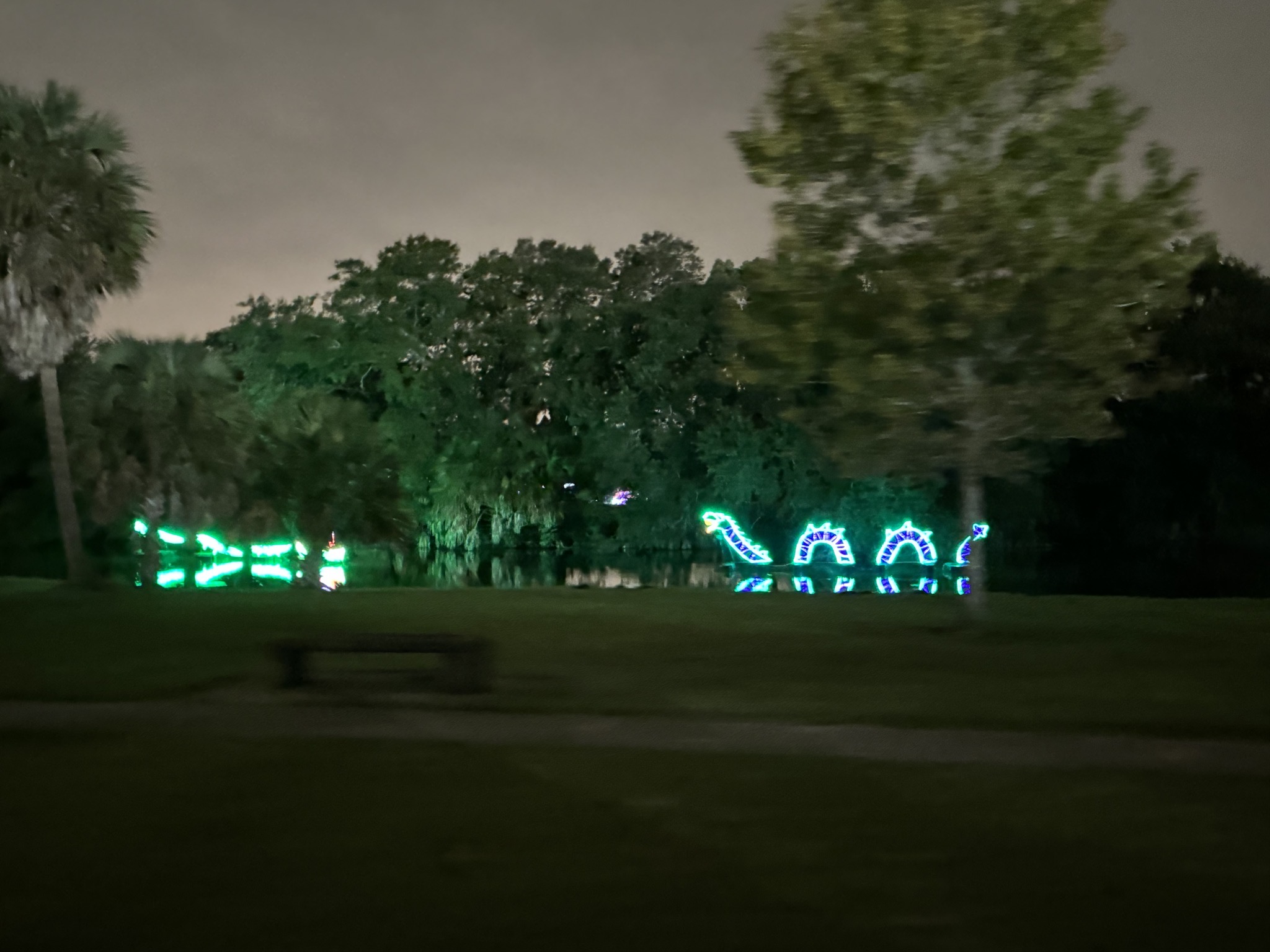Holiday lights