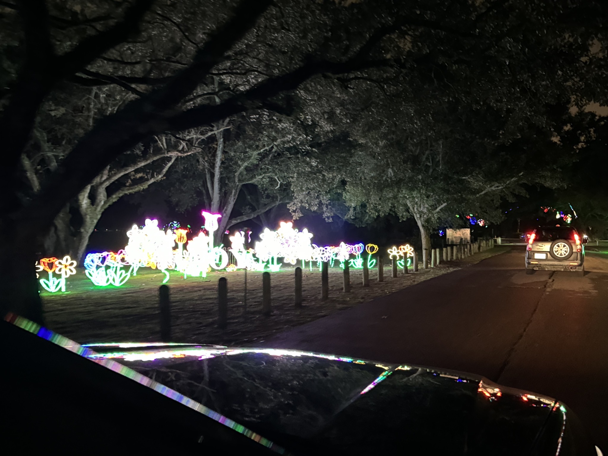 Holiday lights