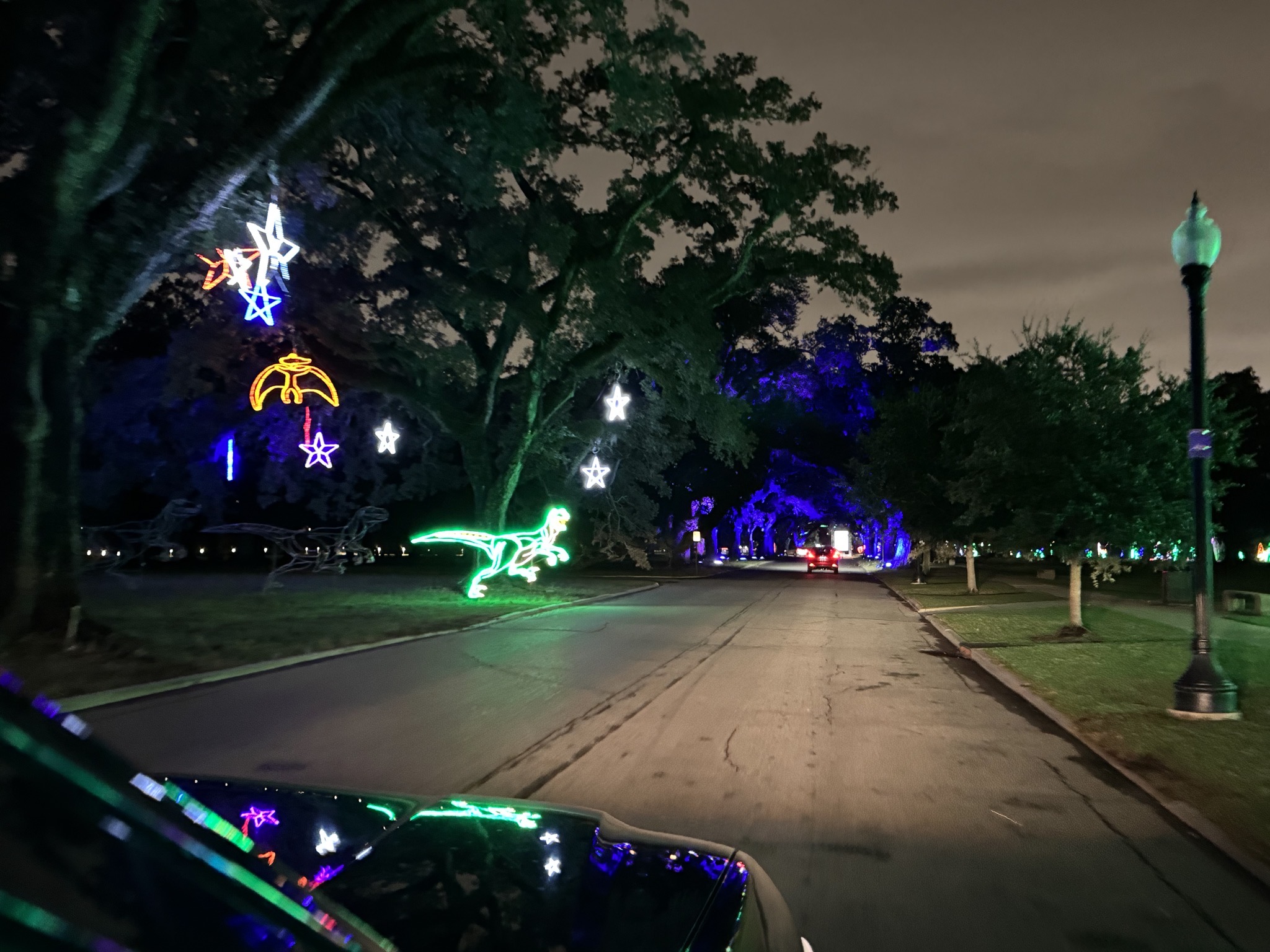 Holiday lights
