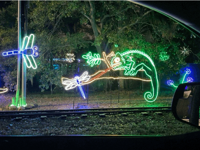 Holiday lights
