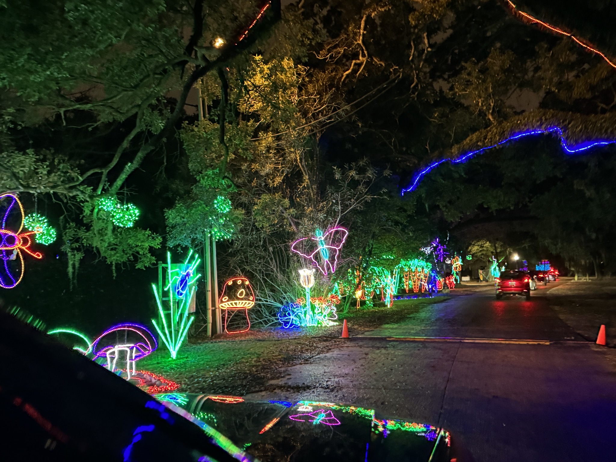 Holiday lights