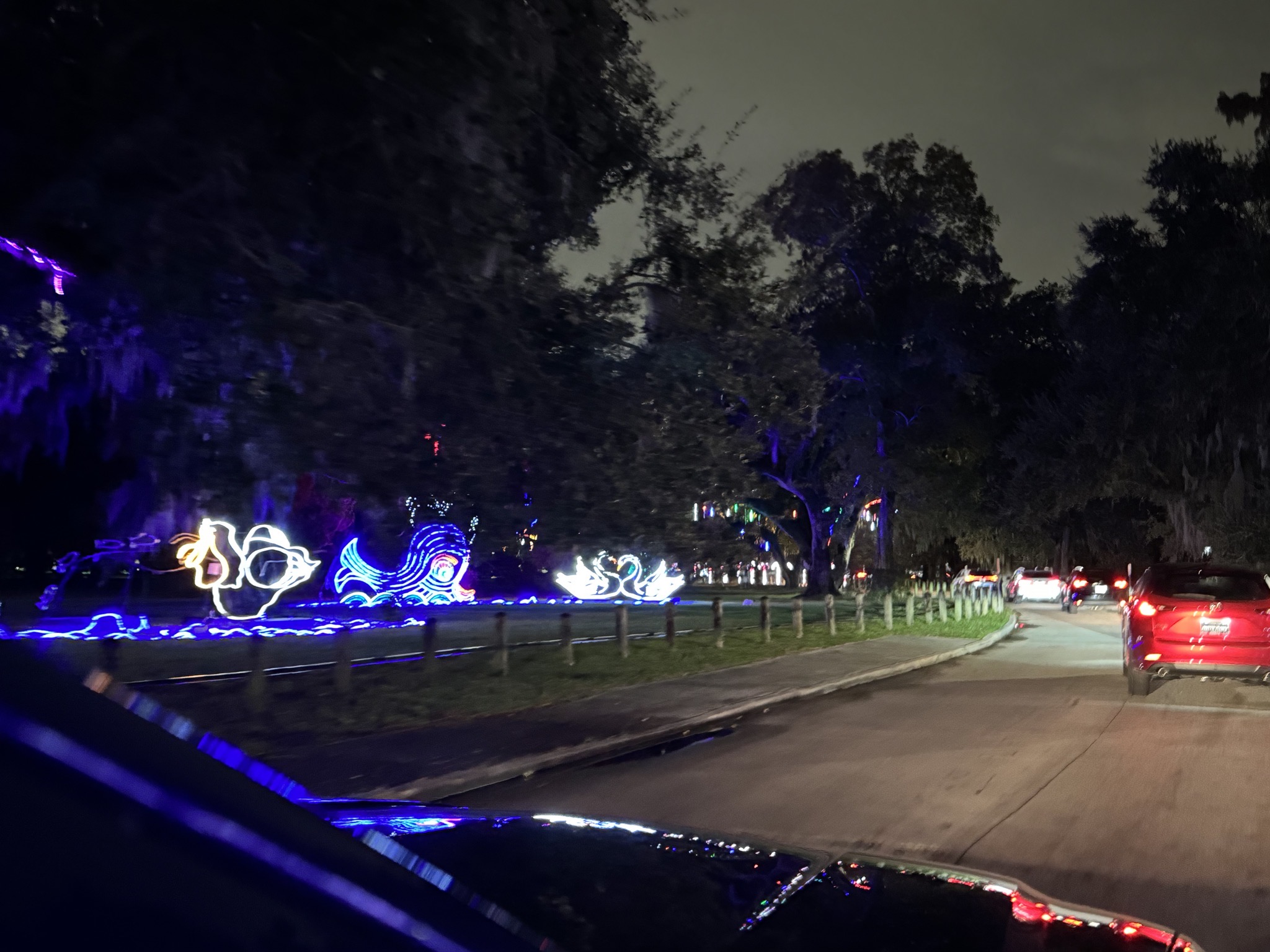 Holiday lights