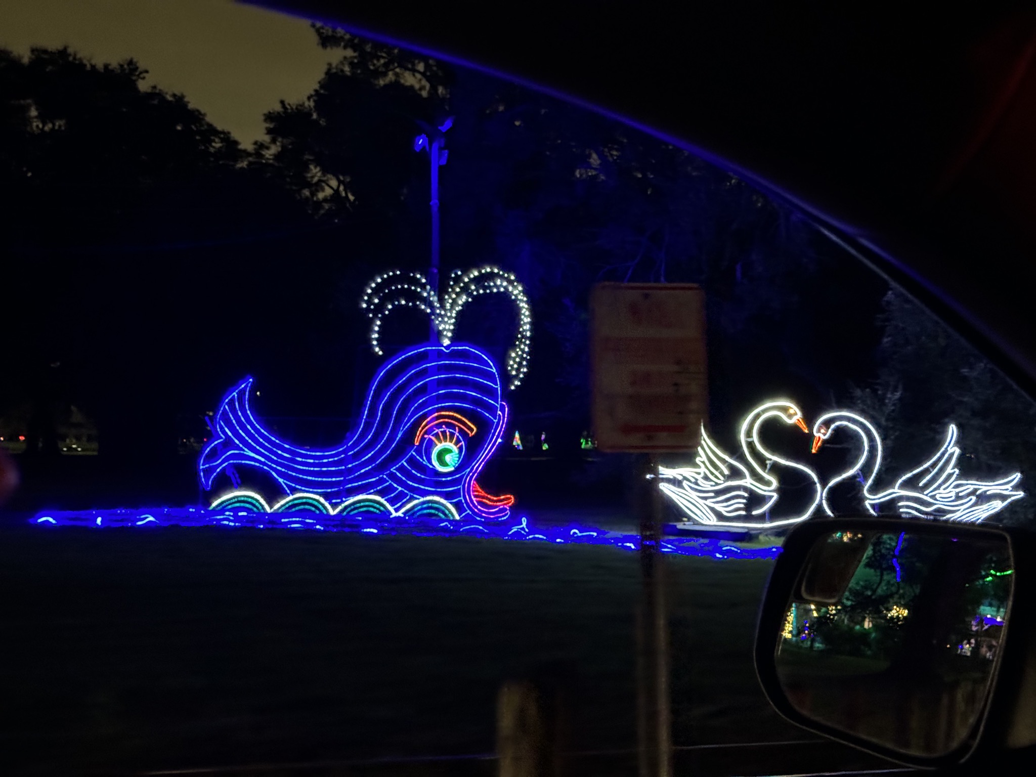Holiday lights