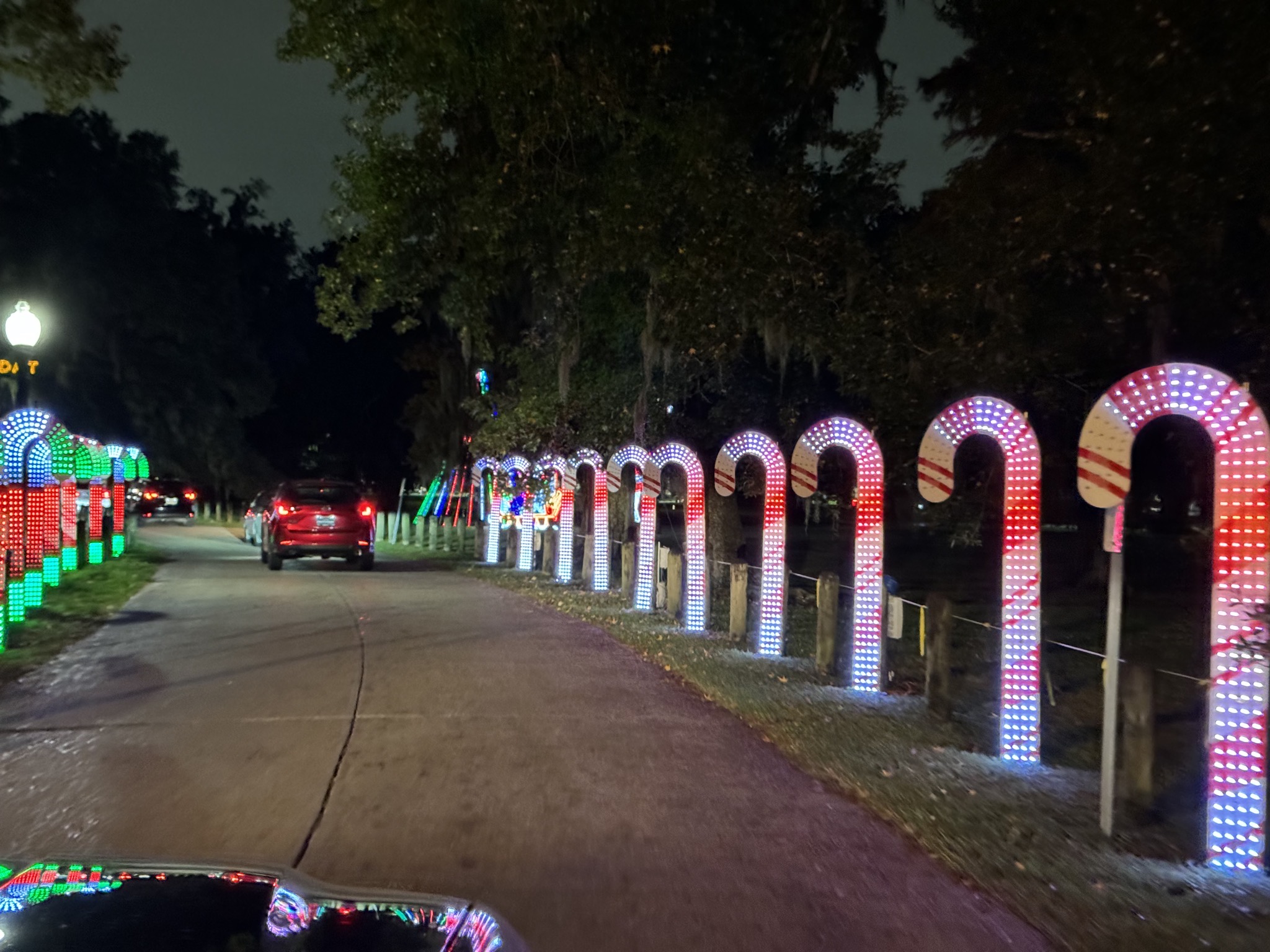 Holiday lights