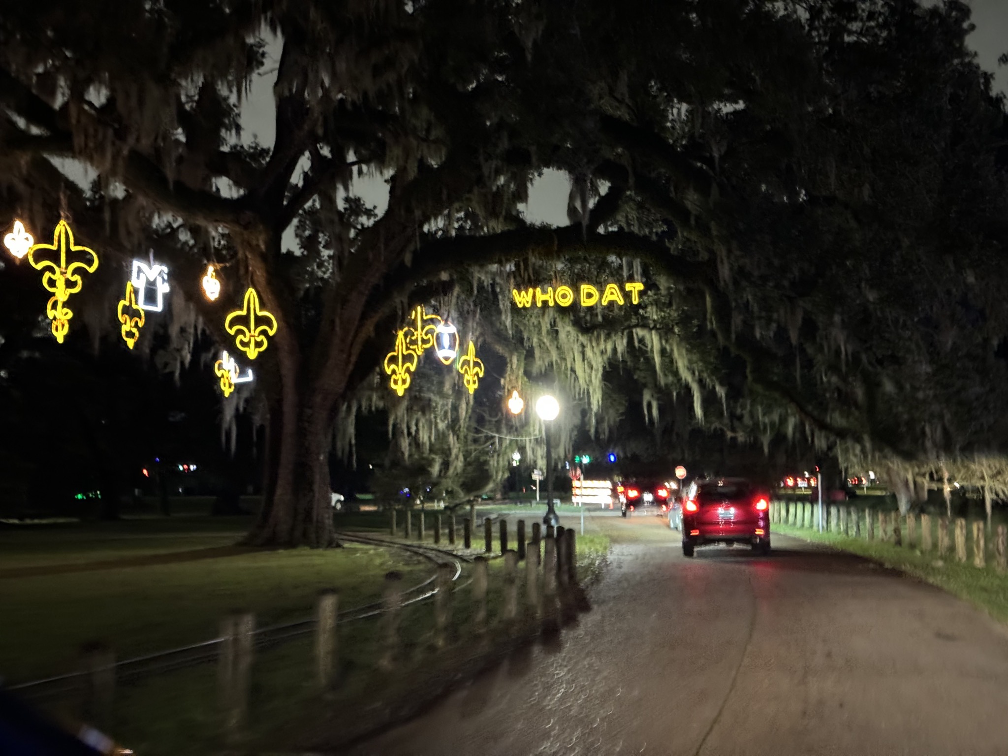 Holiday lights