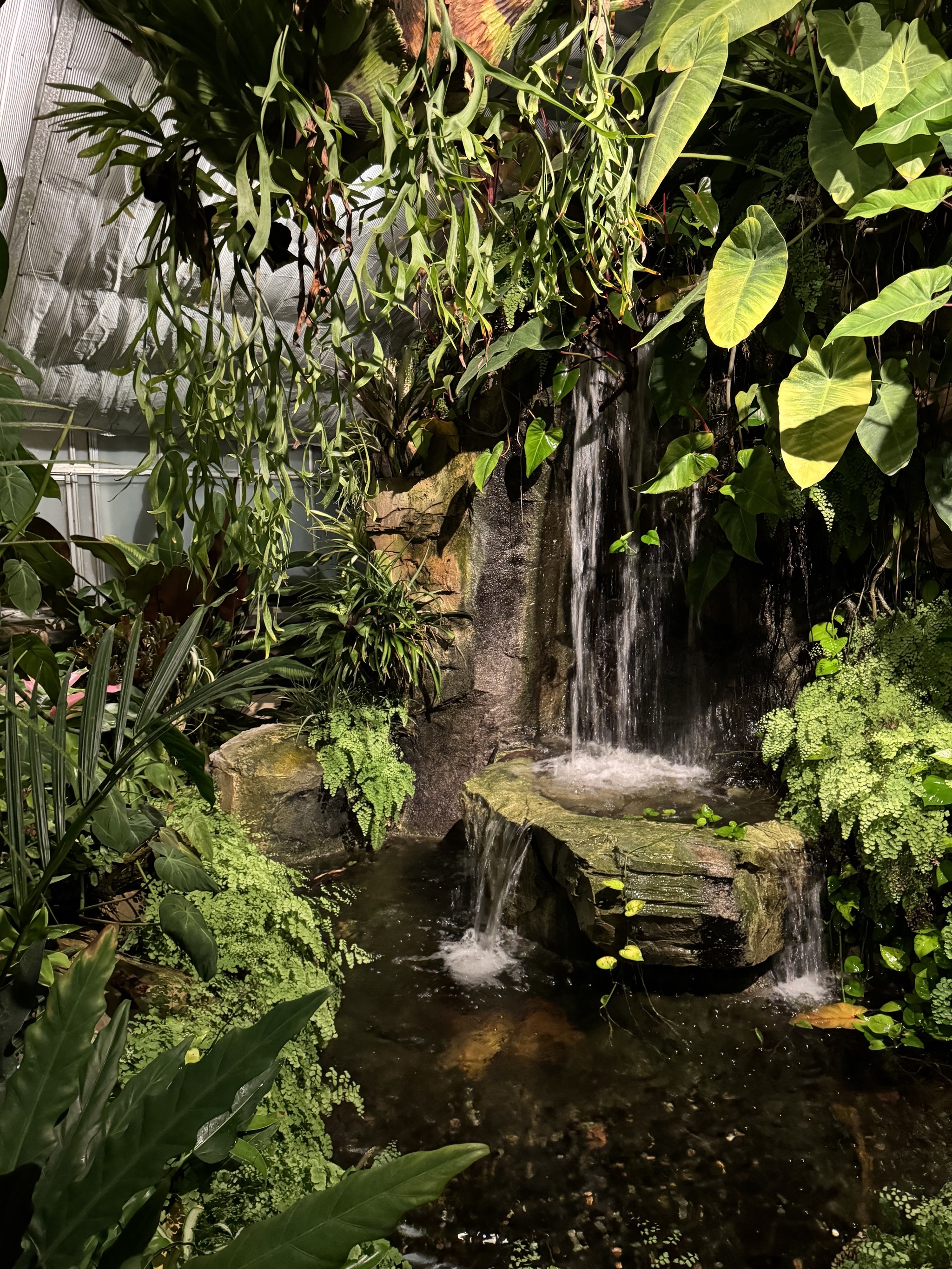 Greenhouse