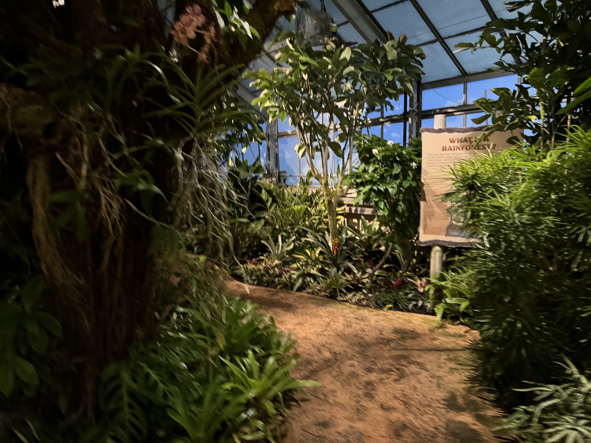 Greenhouse