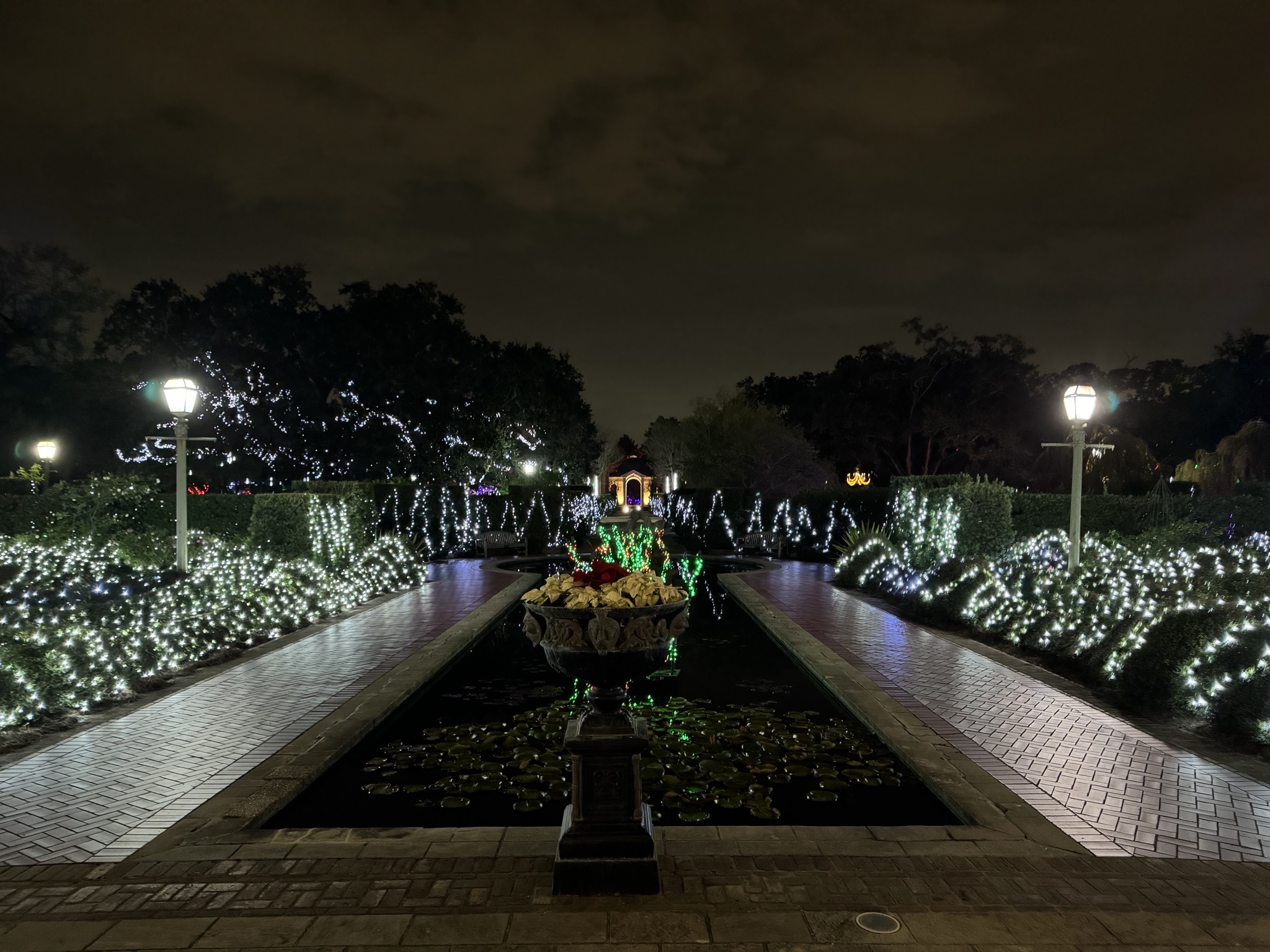 Holiday lights