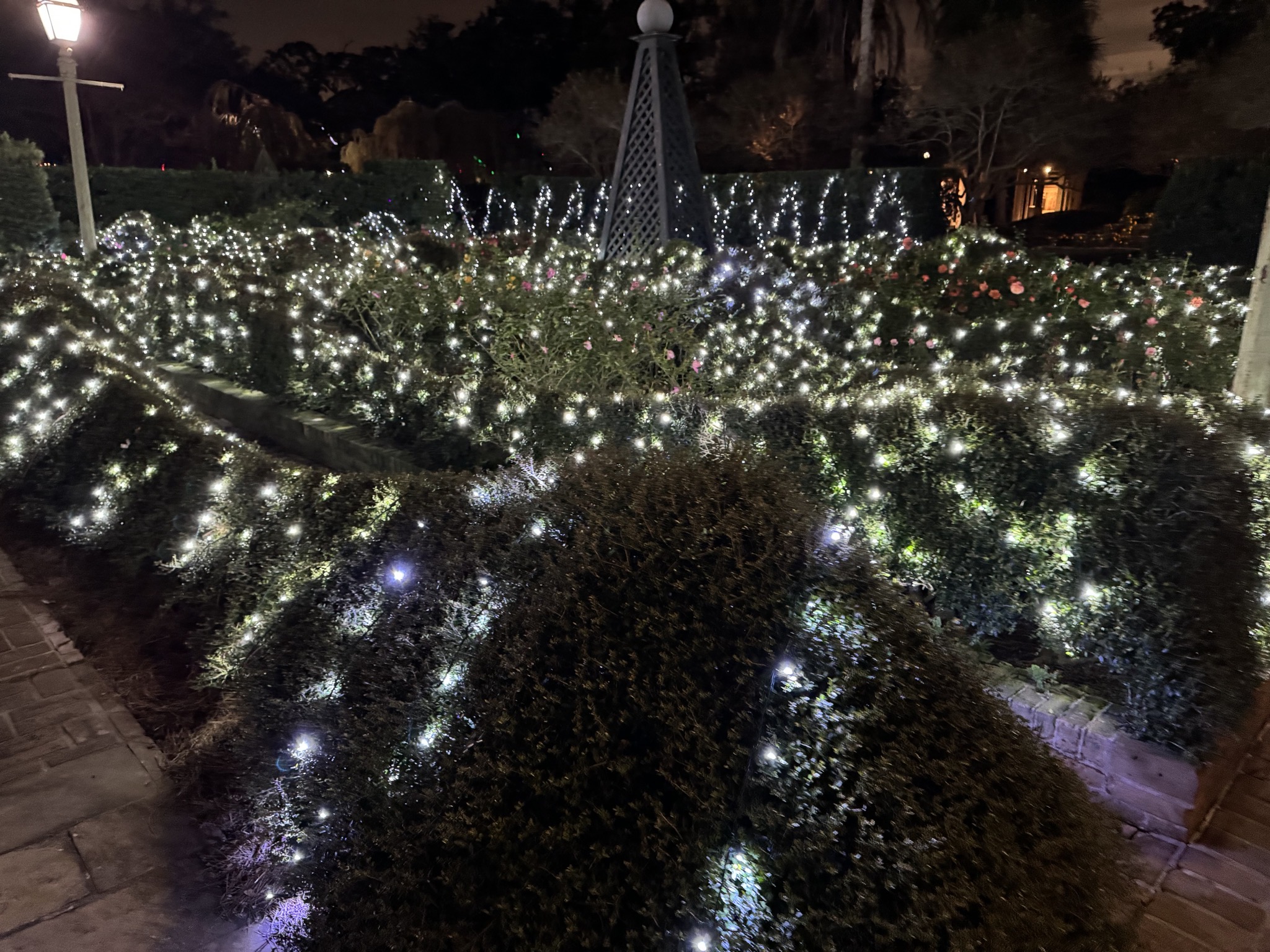 Holiday lights