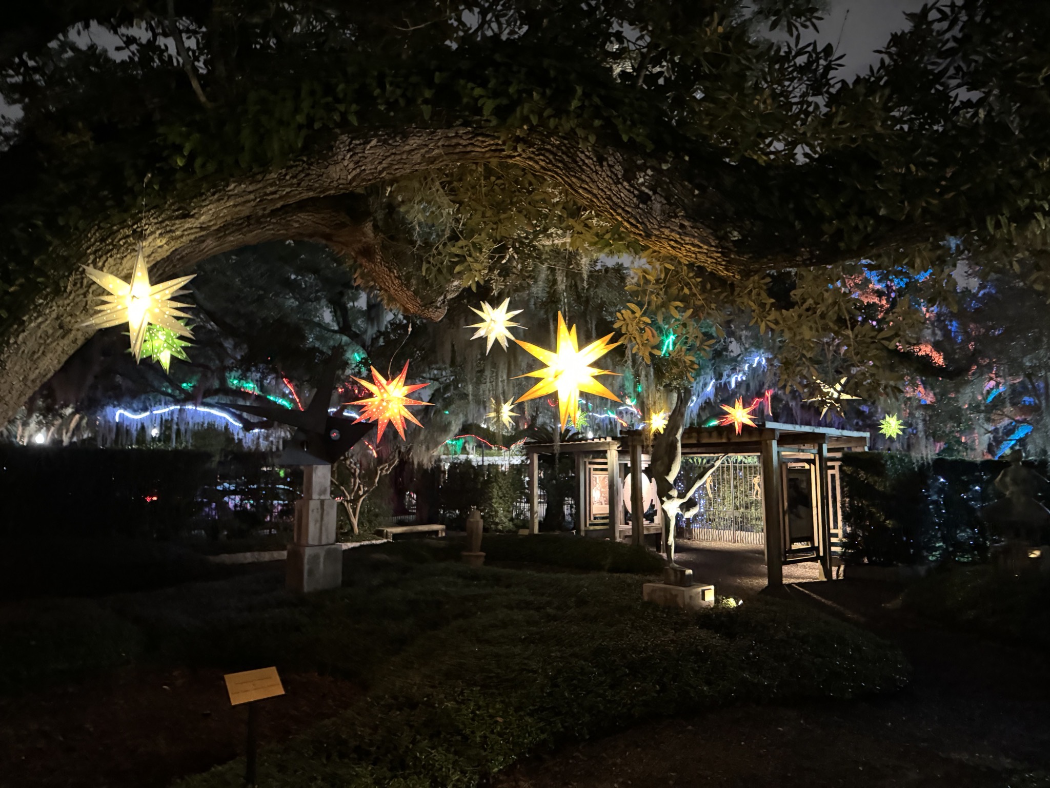 Holiday lights