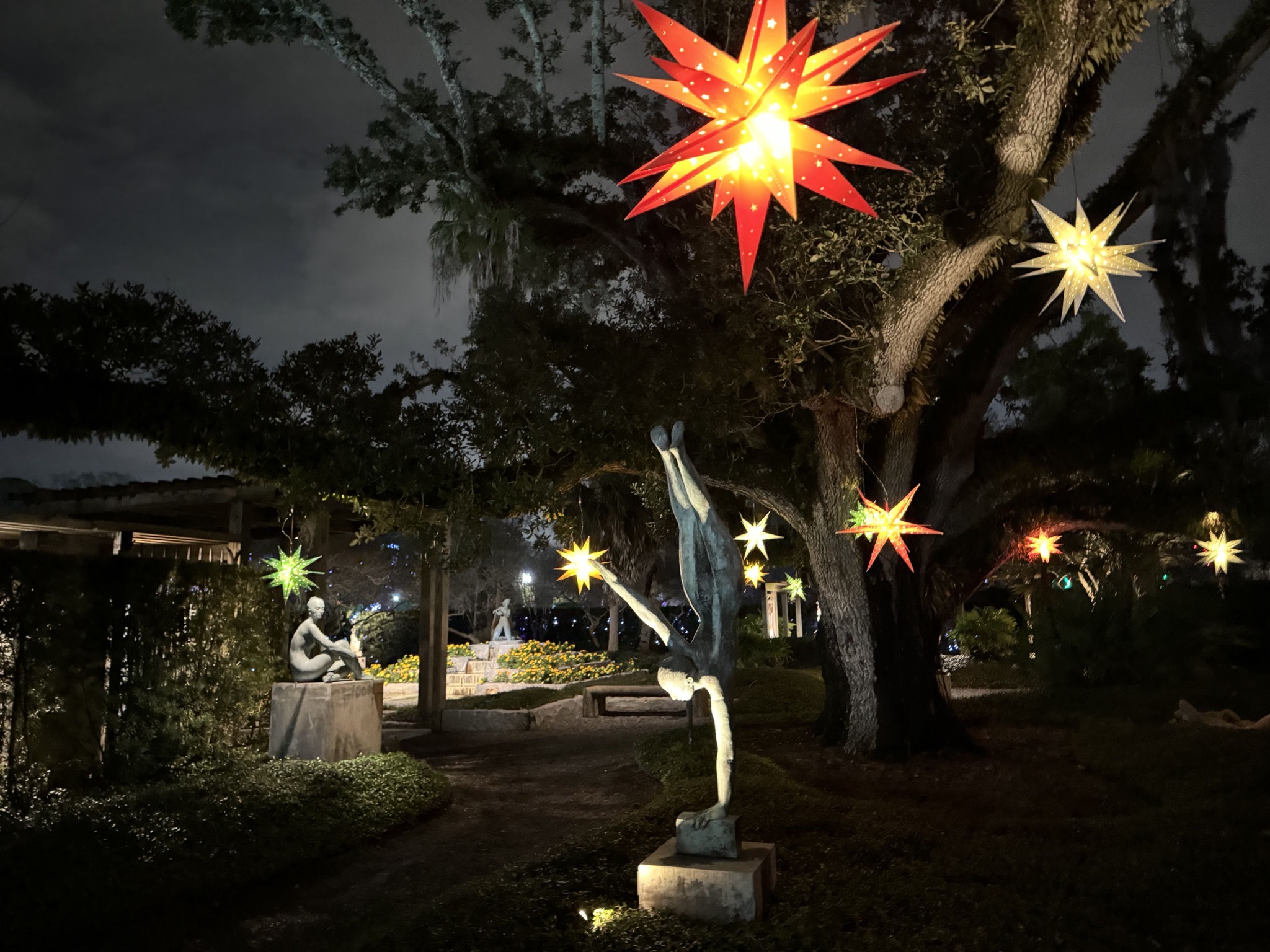 Holiday lights
