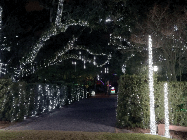 Holiday lights