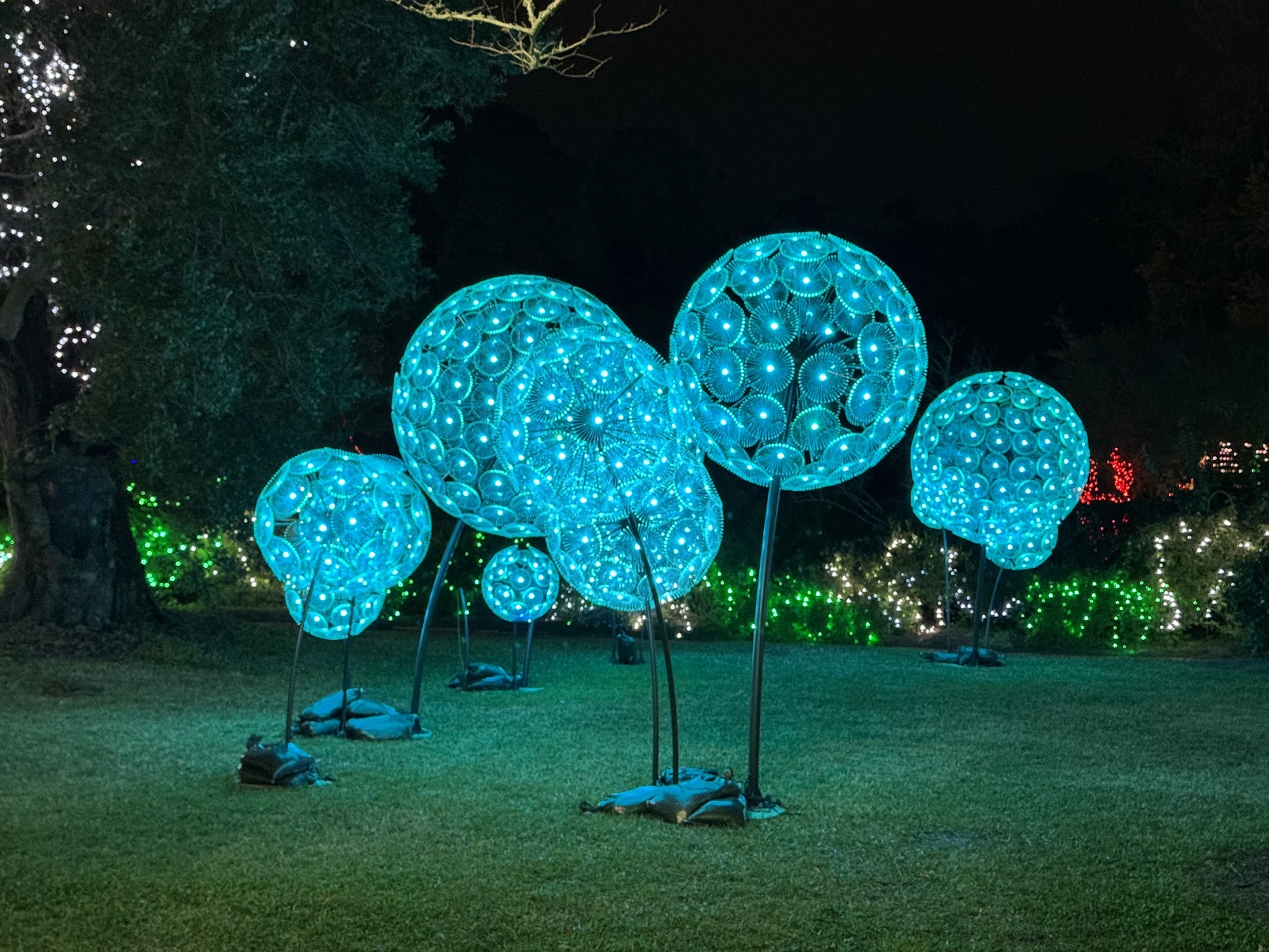 Holiday lights